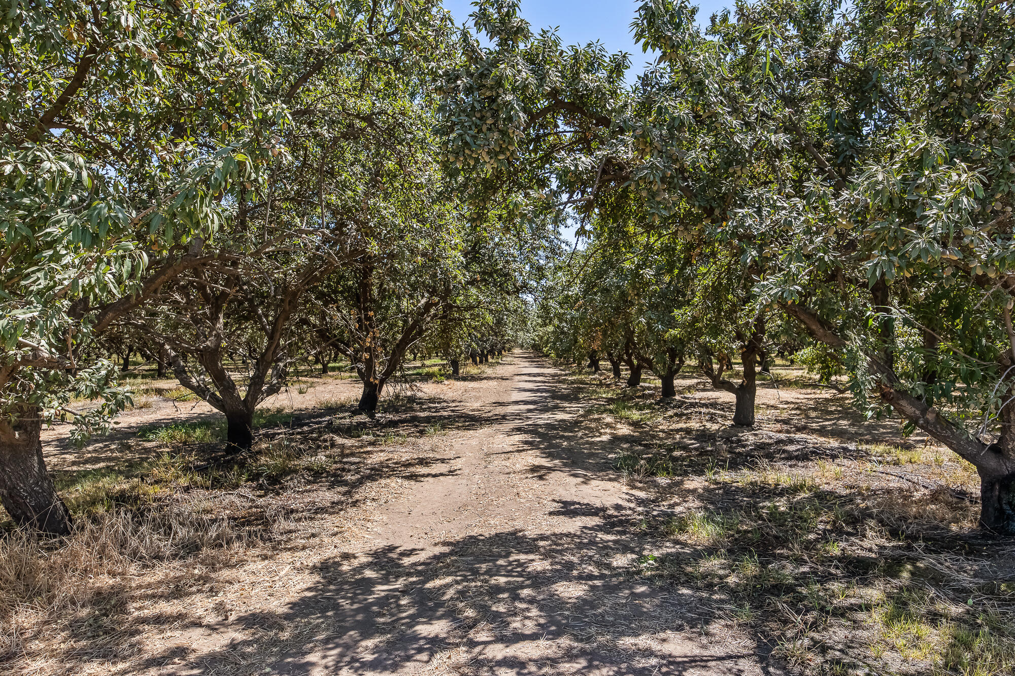 0 E Cleveland Rd, El Nido, CA 95317
