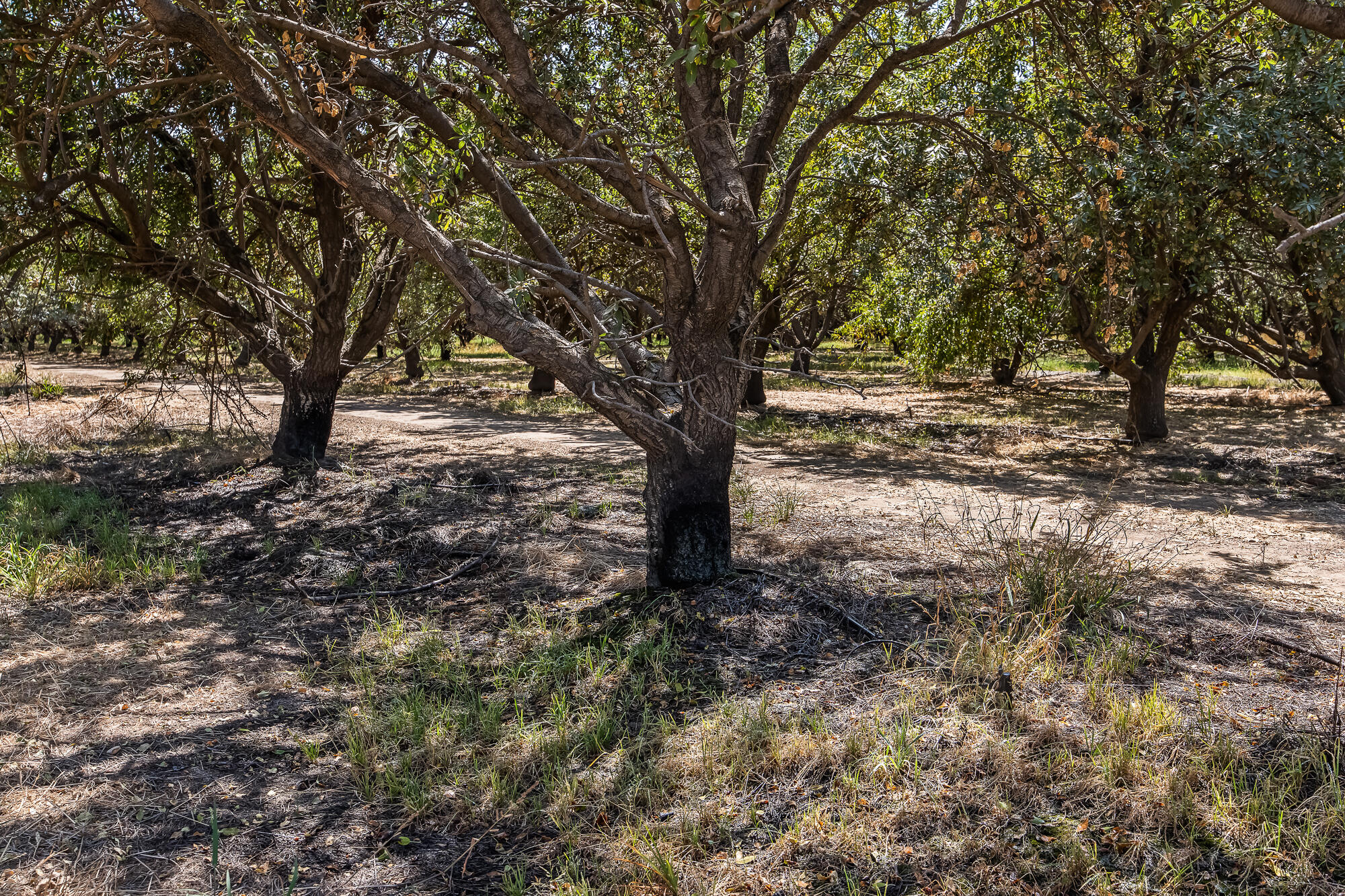 0 E Cleveland Rd, El Nido, CA 95317