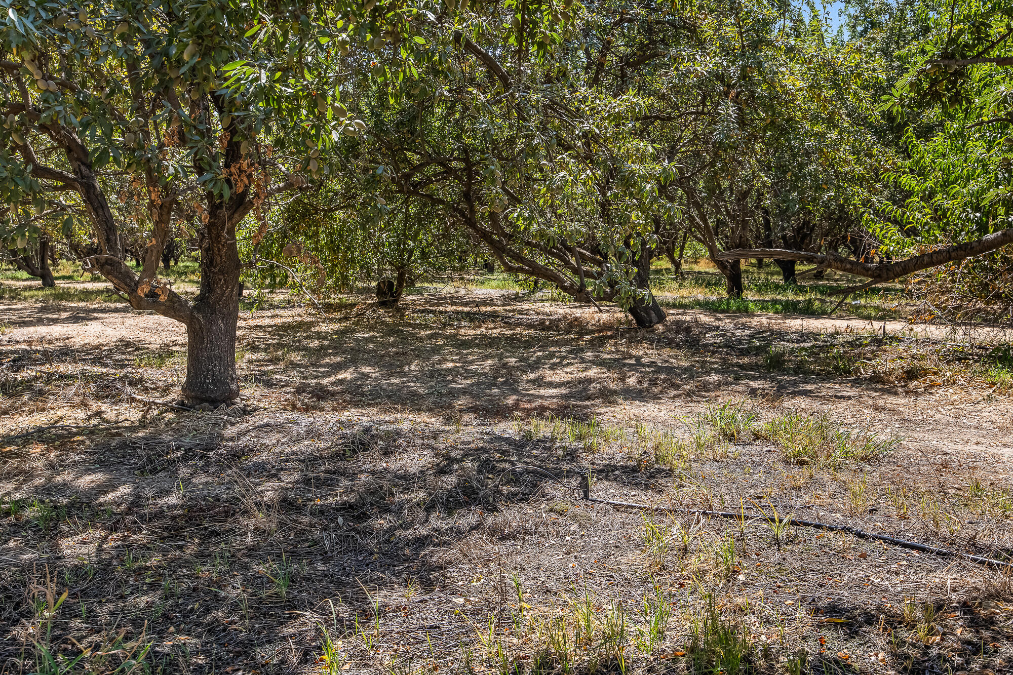 0 E Cleveland Rd, El Nido, CA 95317