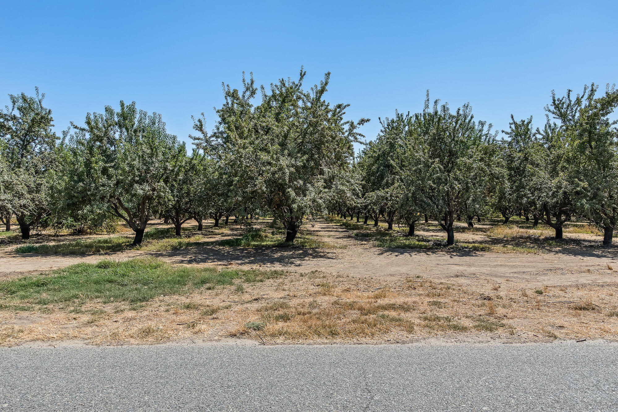 0 E Cleveland Rd, El Nido, CA 95317