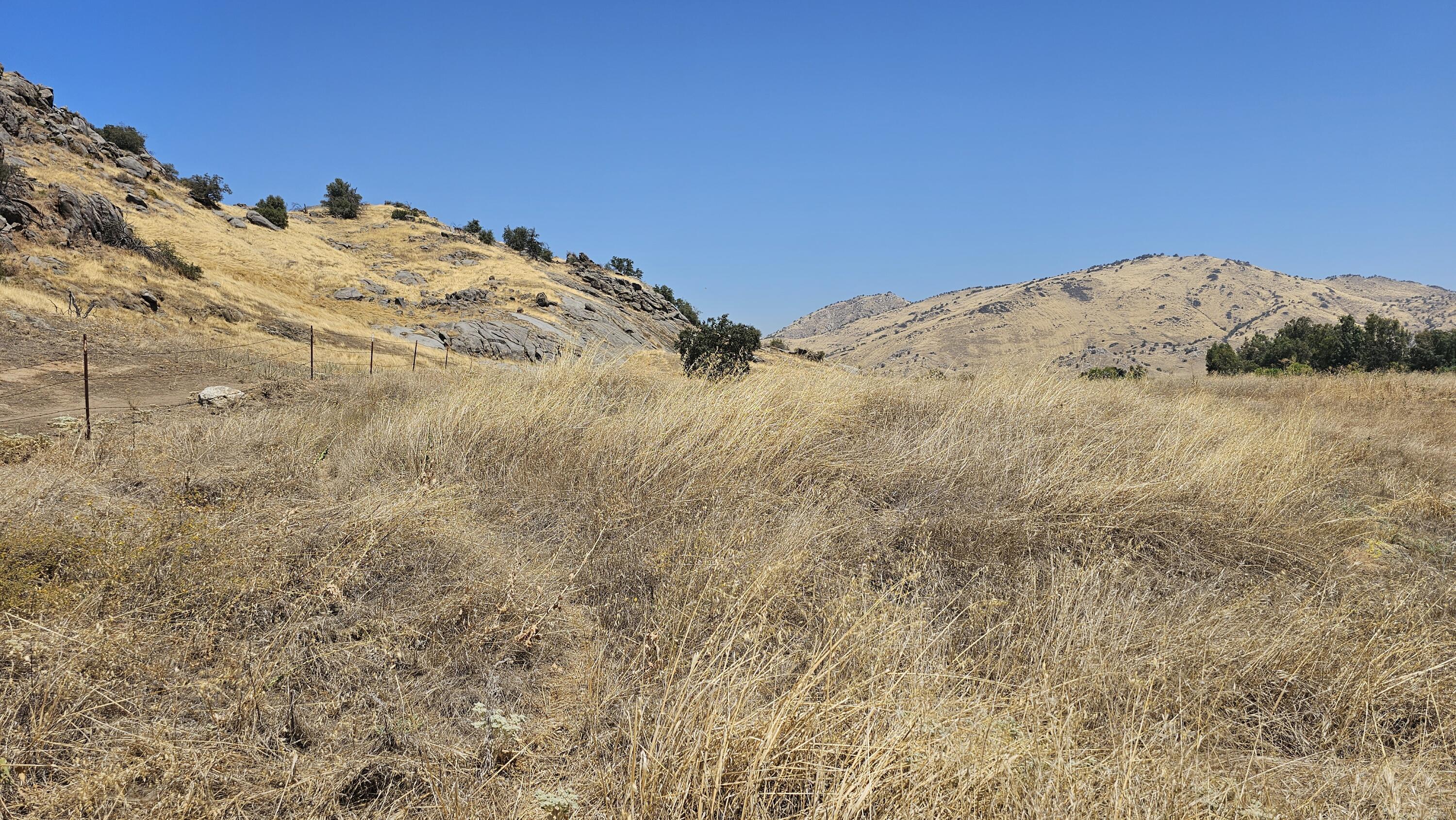 37902 Road 200, Woodlake, CA 93286