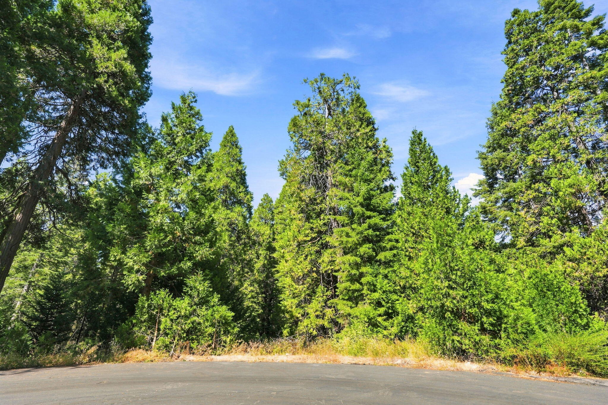 39730 Foxglove Ln, Shaver Lake, CA 93664