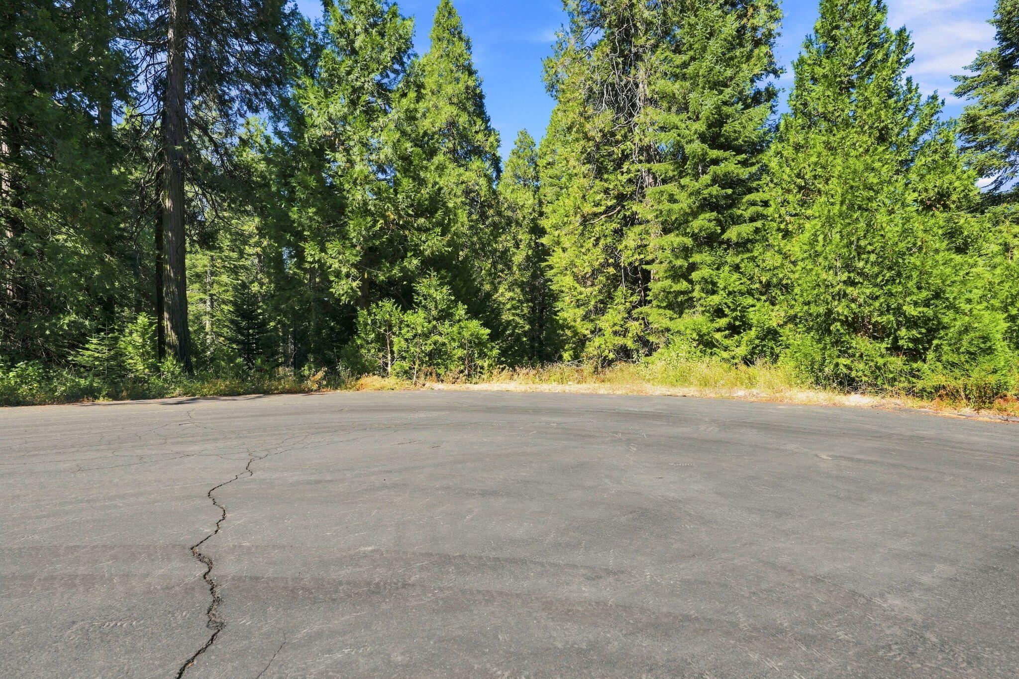 39730 Foxglove Ln, Shaver Lake, CA 93664