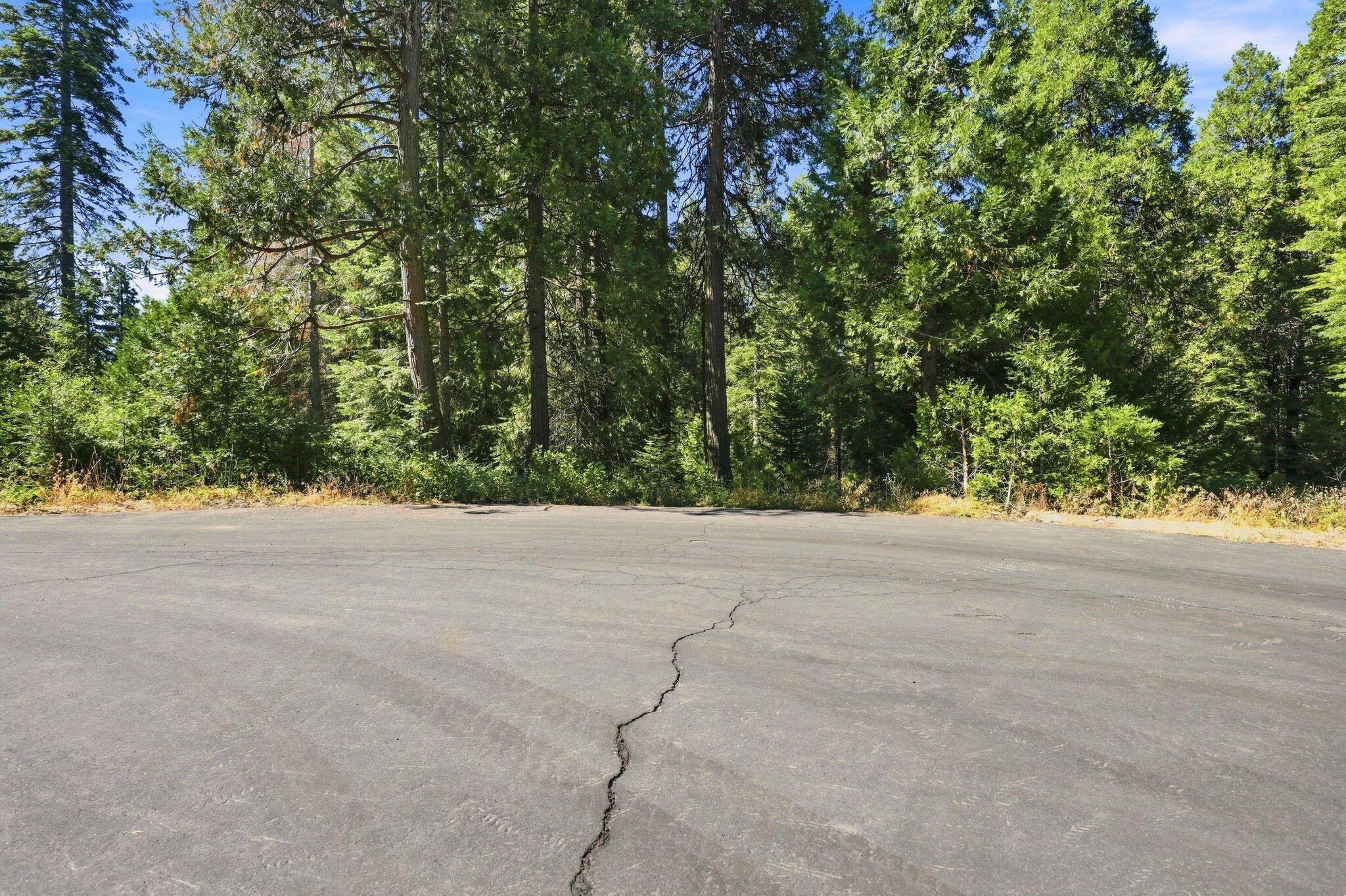 39730 Foxglove Ln, Shaver Lake, CA 93664
