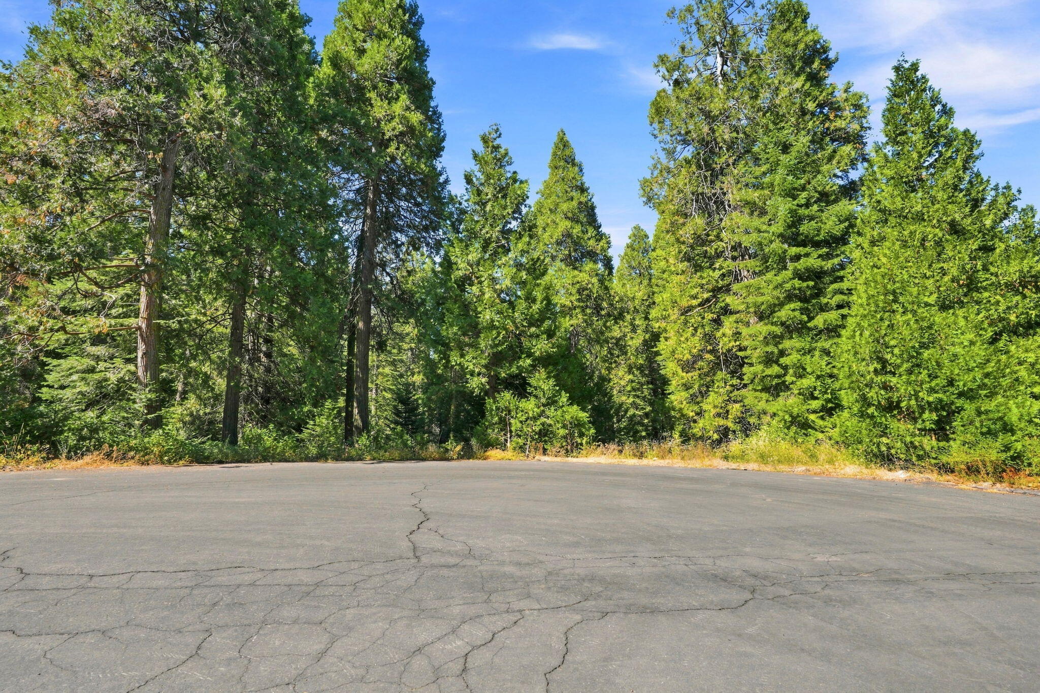 39730 Foxglove Ln, Shaver Lake, CA 93664