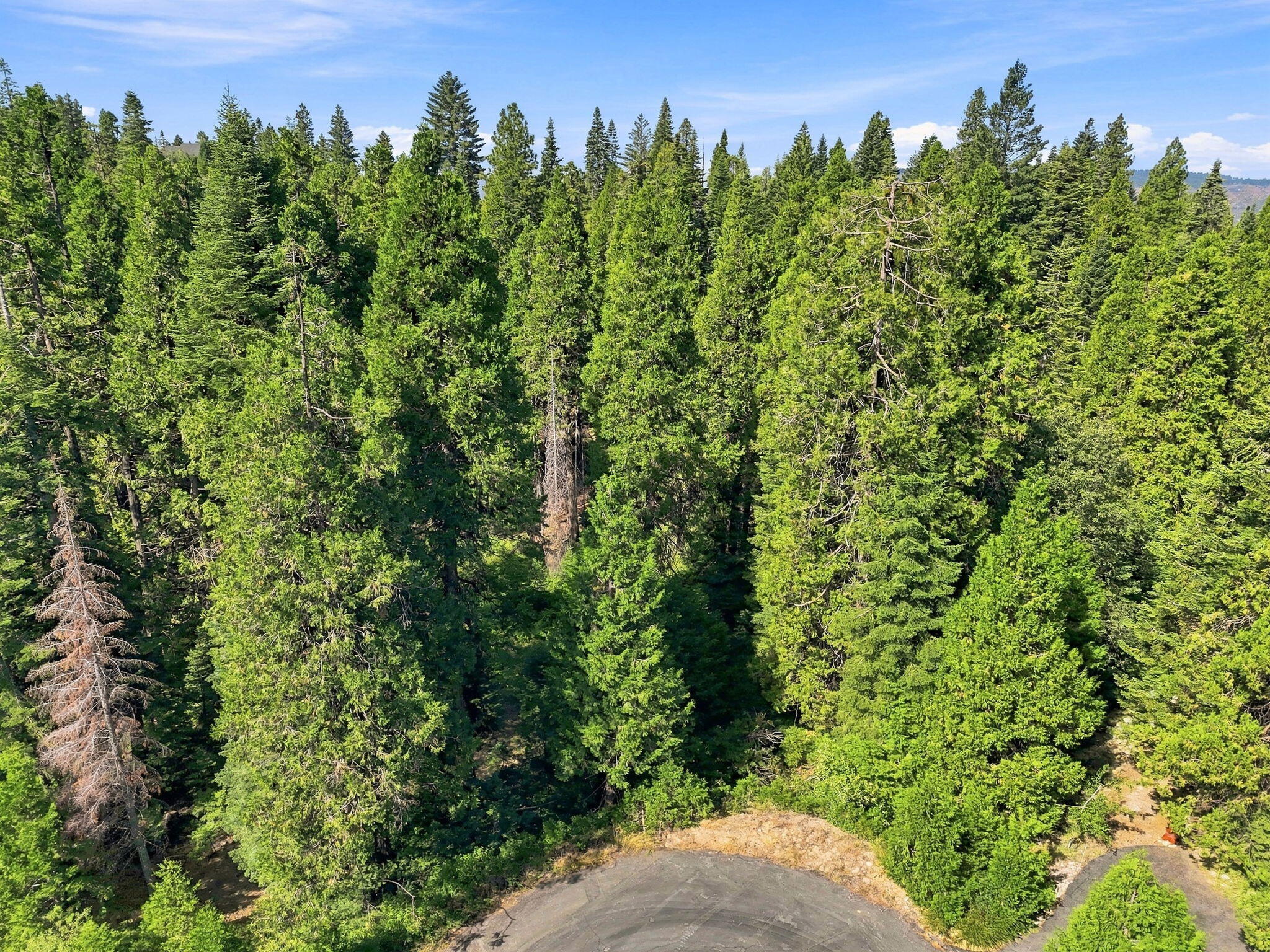 39730 Foxglove Ln, Shaver Lake, CA 93664