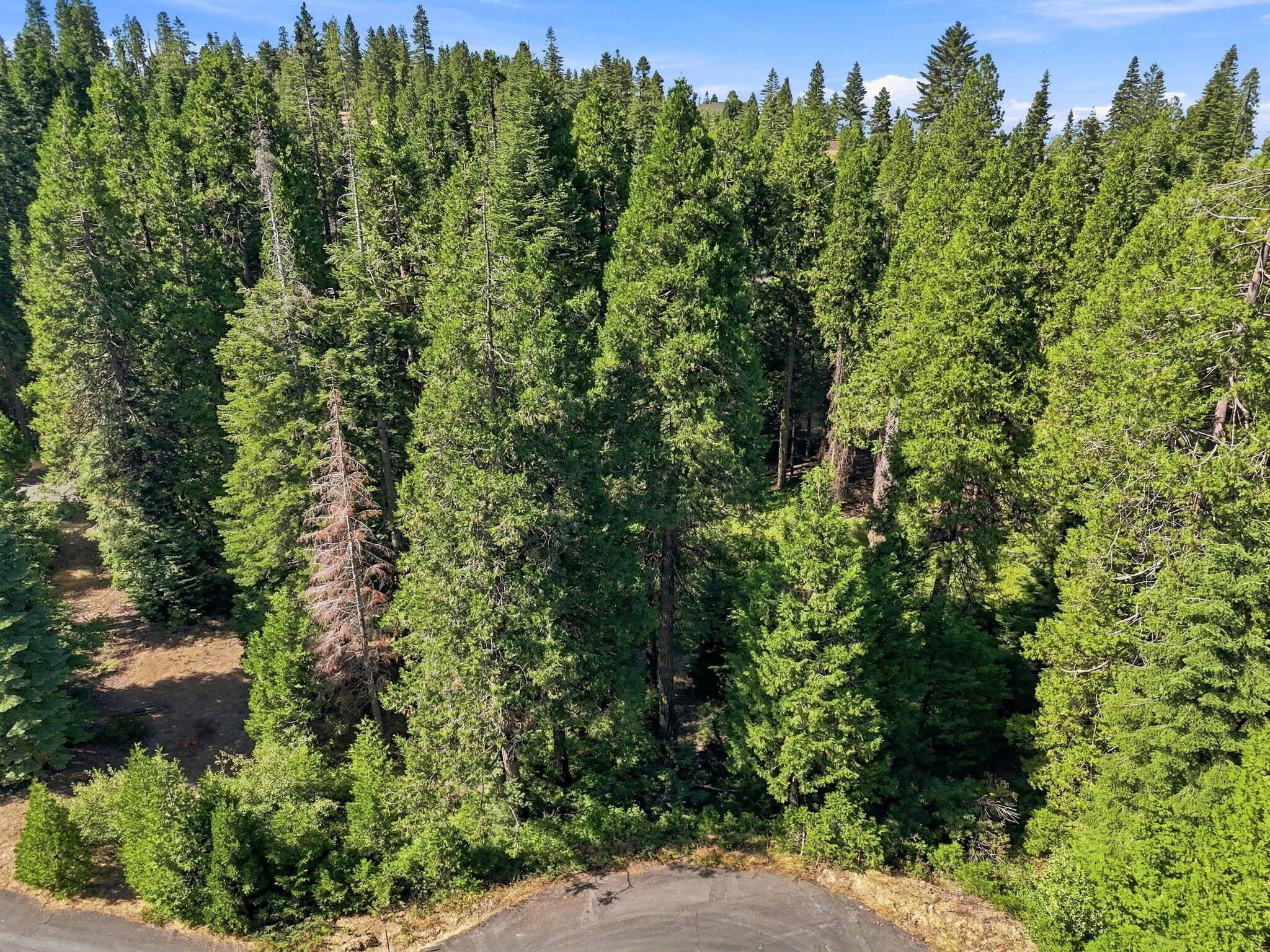 39730 Foxglove Ln, Shaver Lake, CA 93664