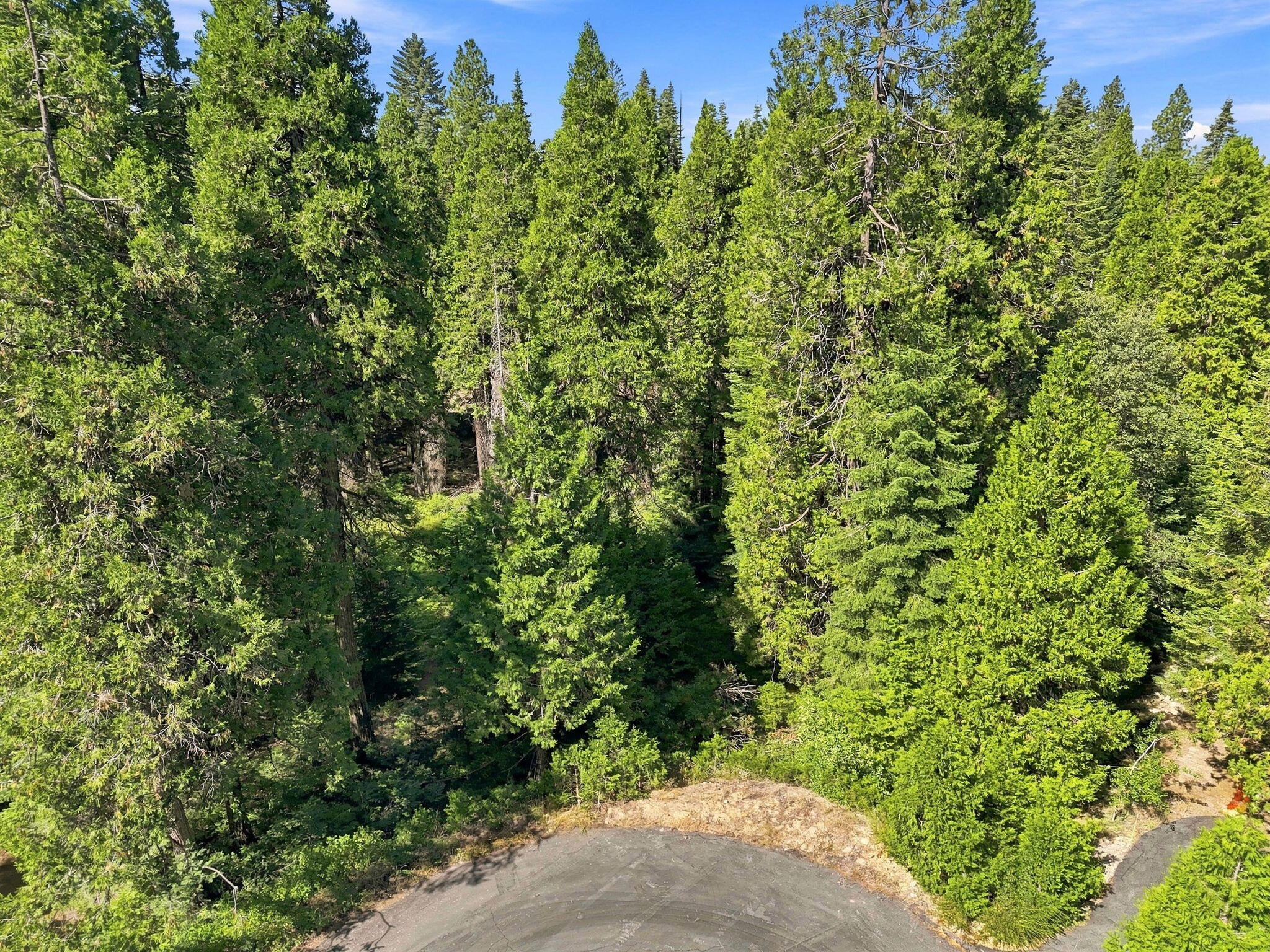 39730 Foxglove Ln, Shaver Lake, CA 93664