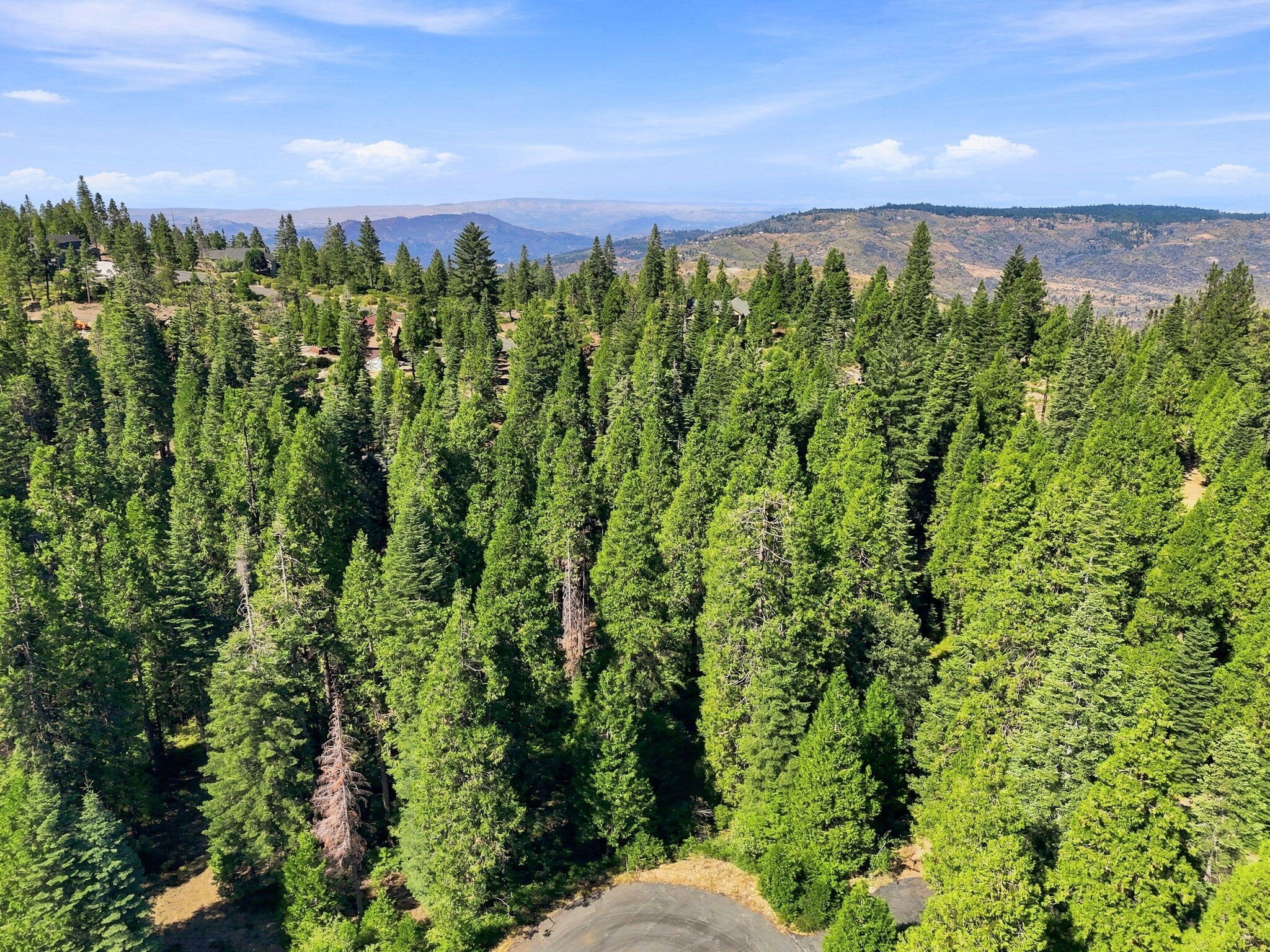 39730 Foxglove Ln, Shaver Lake, CA 93664