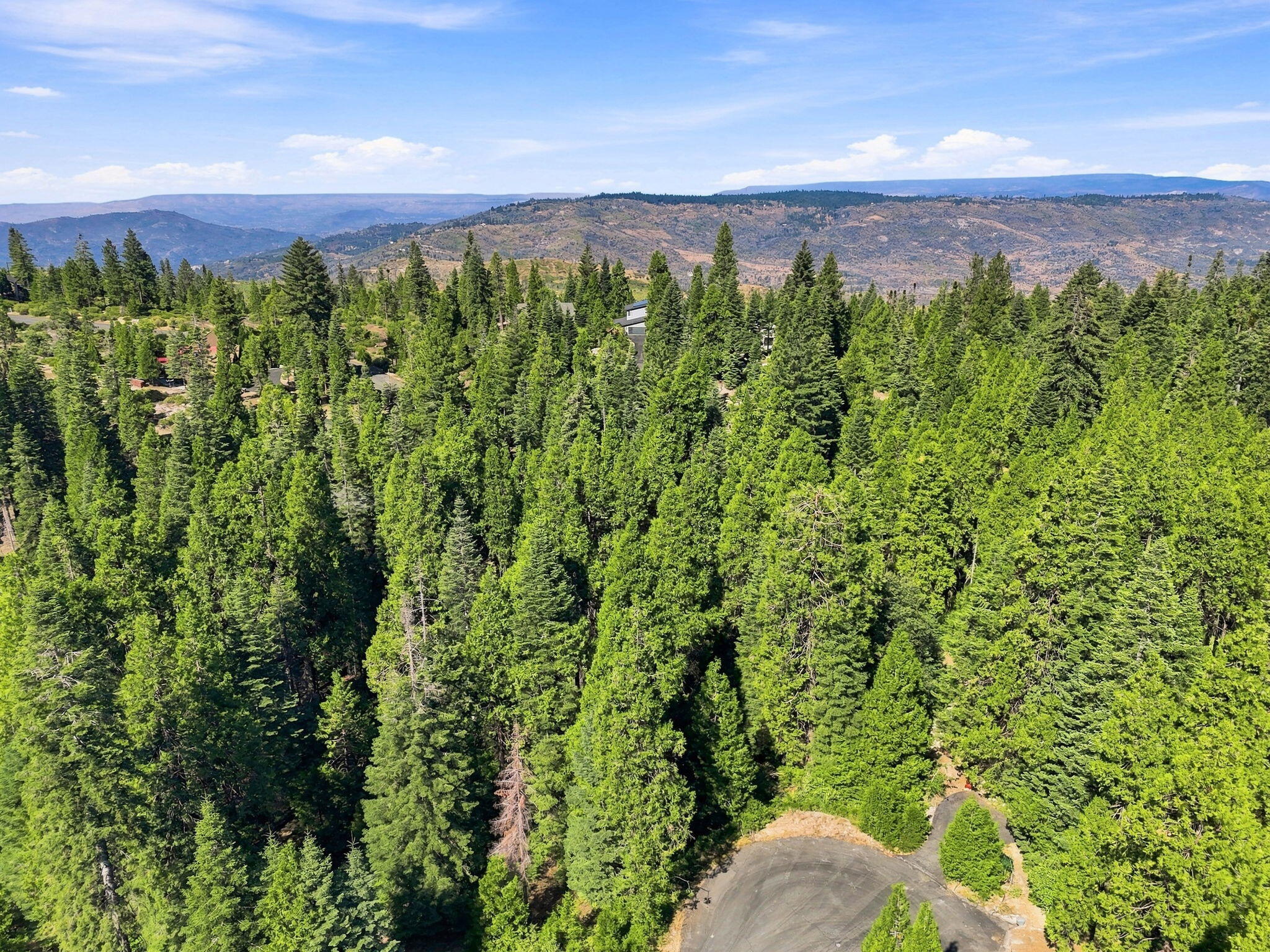 39730 Foxglove Ln, Shaver Lake, CA 93664