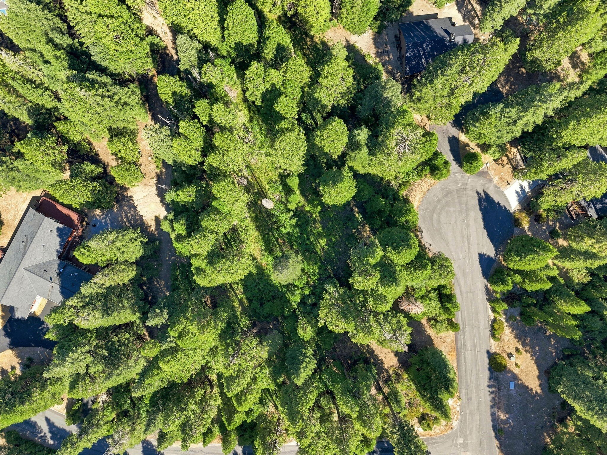 39730 Foxglove Ln, Shaver Lake, CA 93664