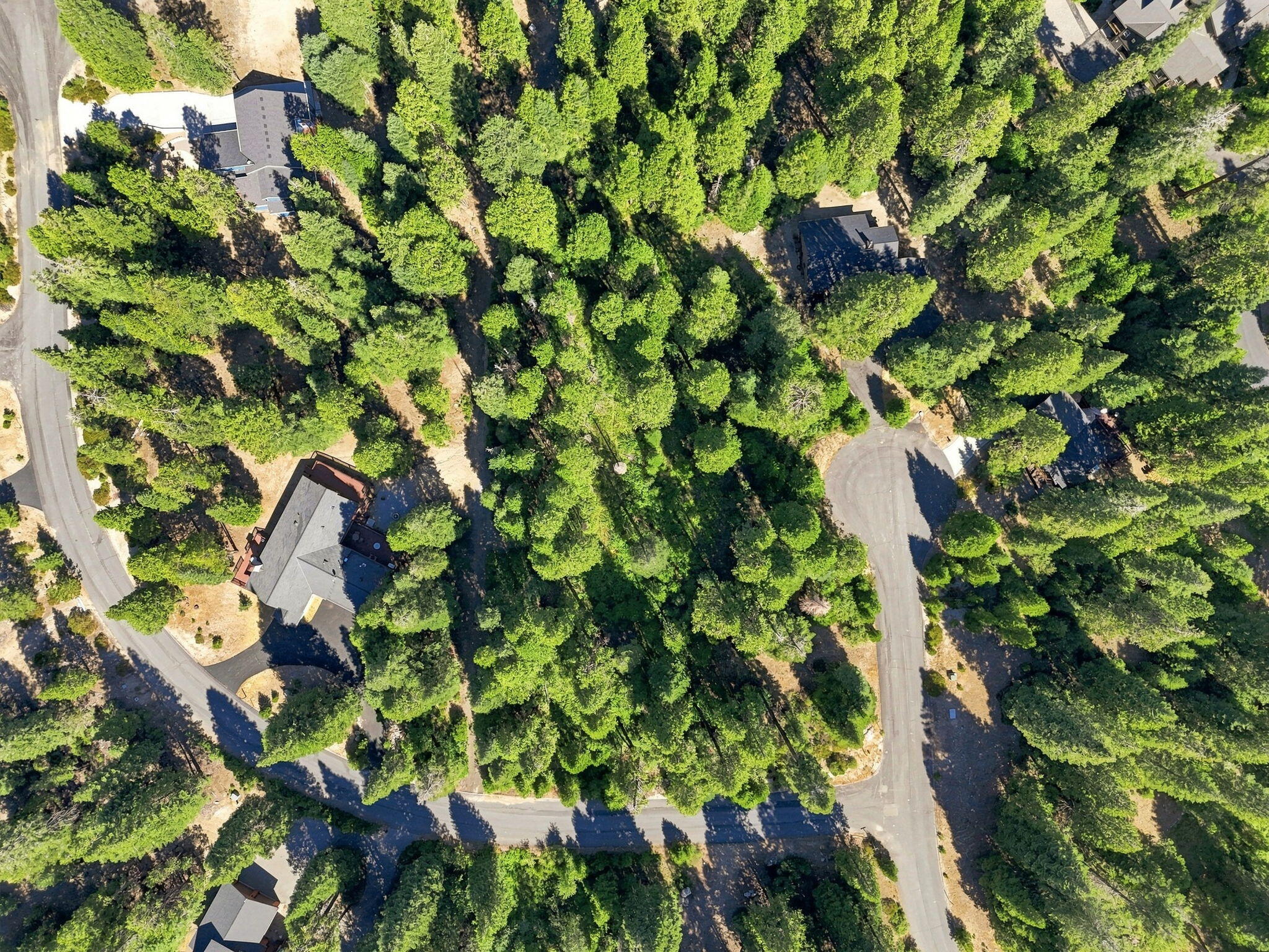 39730 Foxglove Ln, Shaver Lake, CA 93664