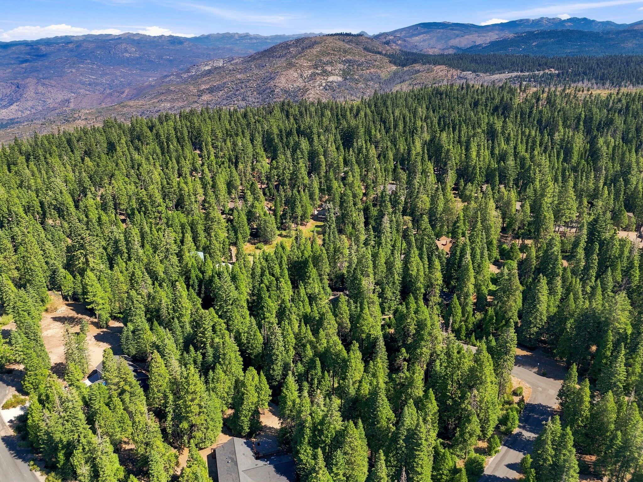 39730 Foxglove Ln, Shaver Lake, CA 93664