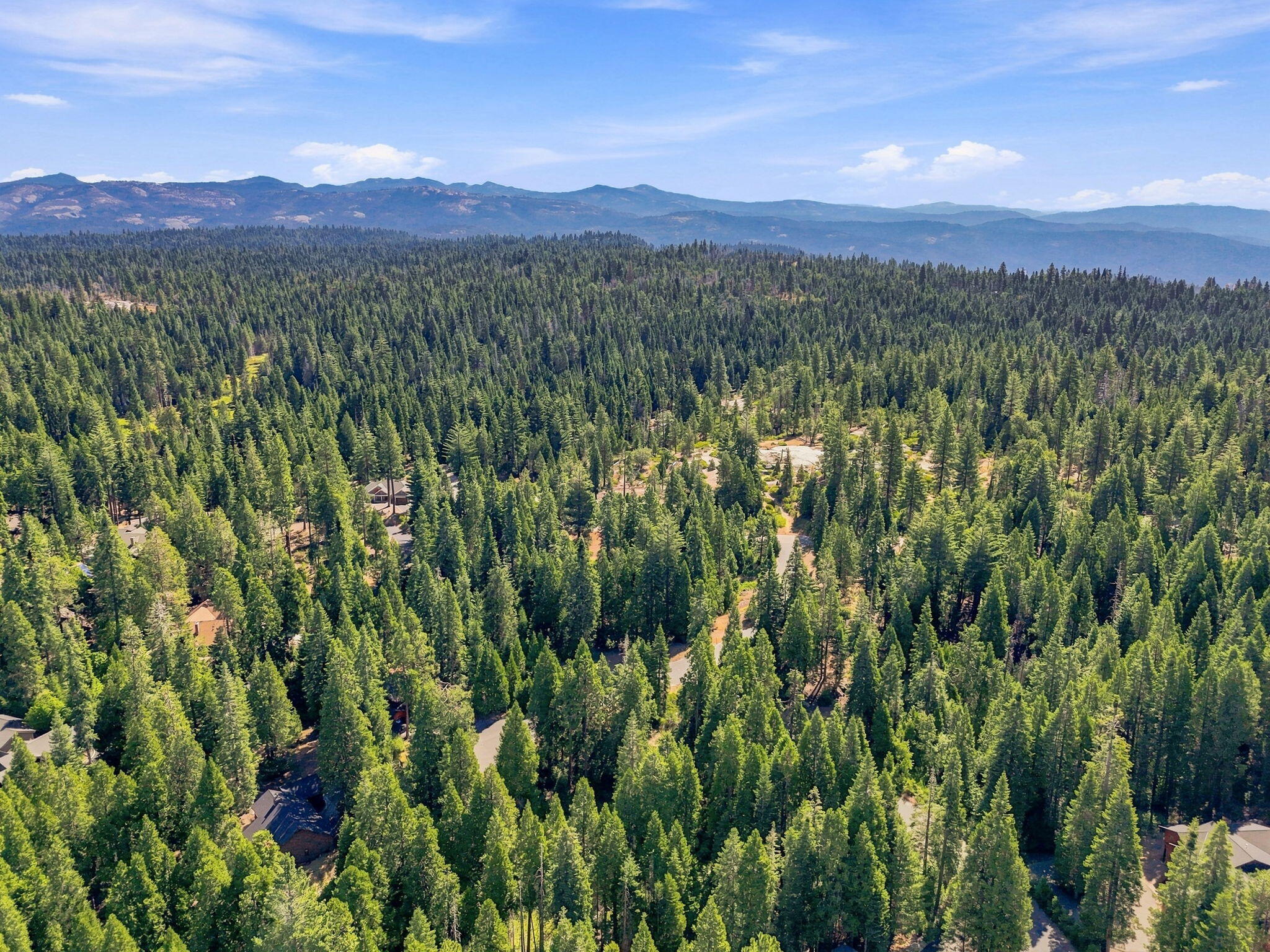 39730 Foxglove Ln, Shaver Lake, CA 93664
