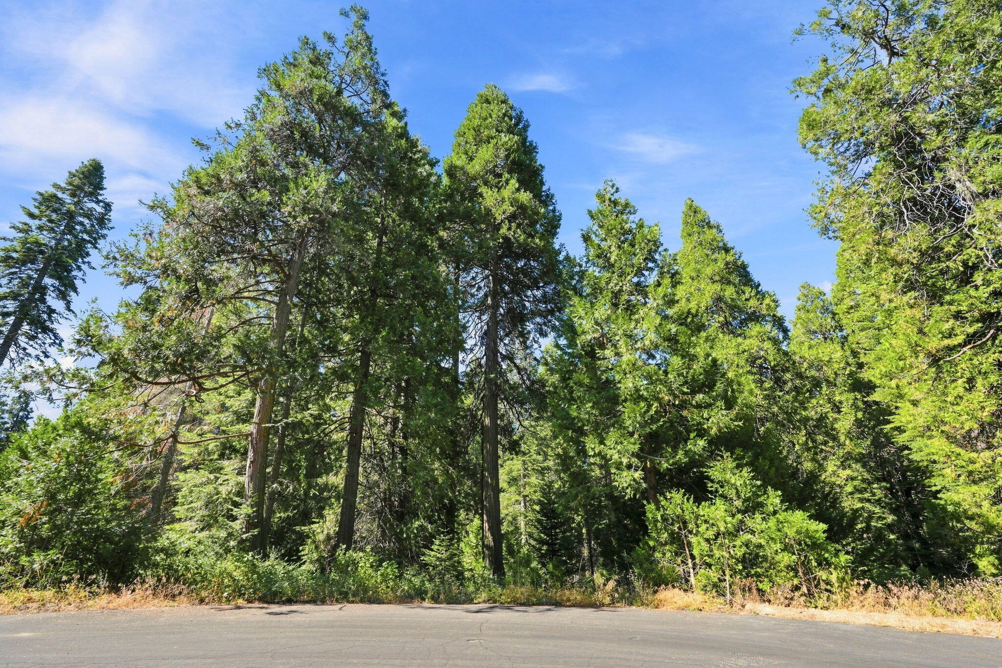 0 Foxglove Ln, Shaver Lake, CA 93664