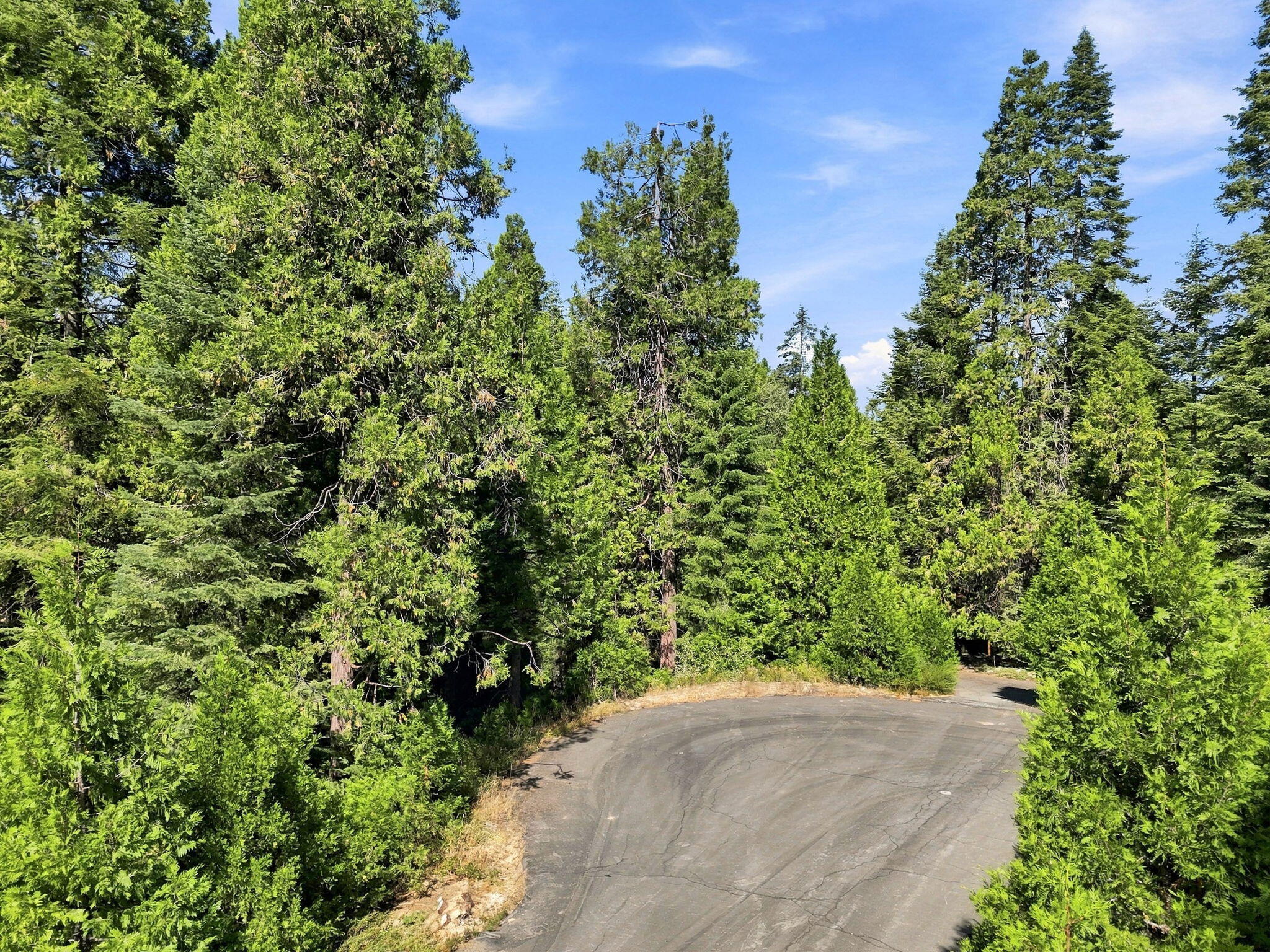 0 Foxglove Ln, Shaver Lake, CA 93664