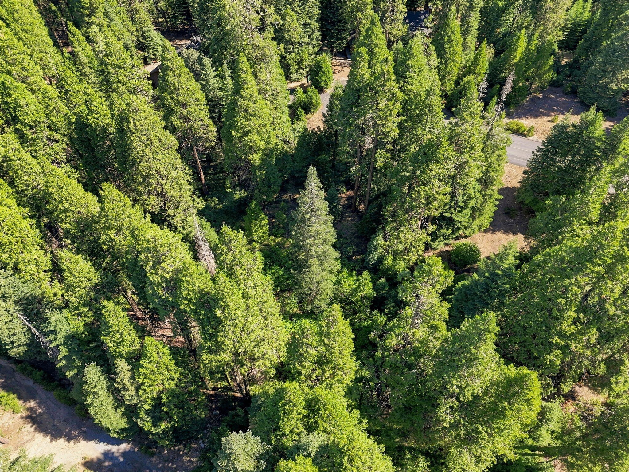 0 Foxglove Ln, Shaver Lake, CA 93664