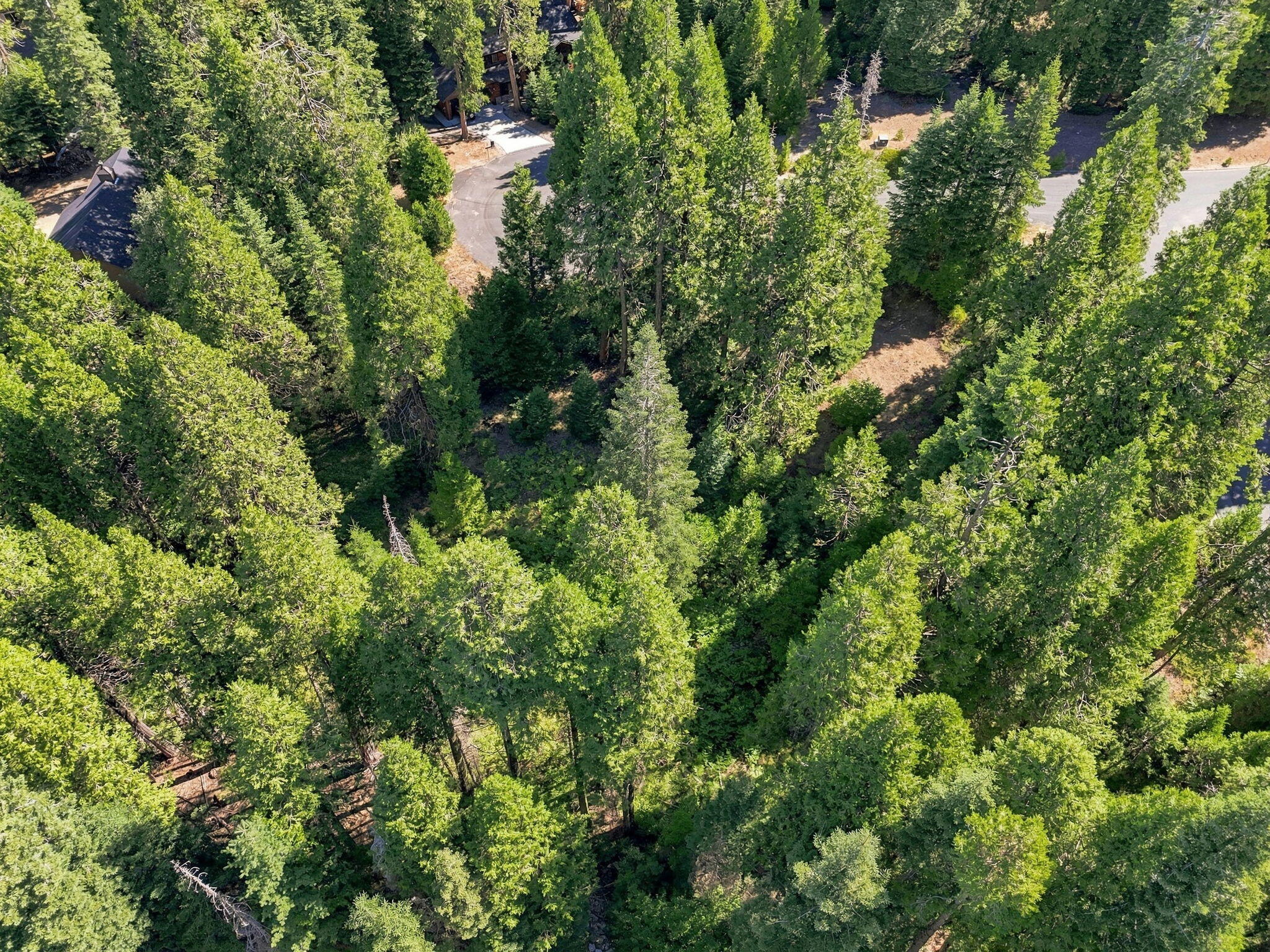 0 Foxglove Ln, Shaver Lake, CA 93664
