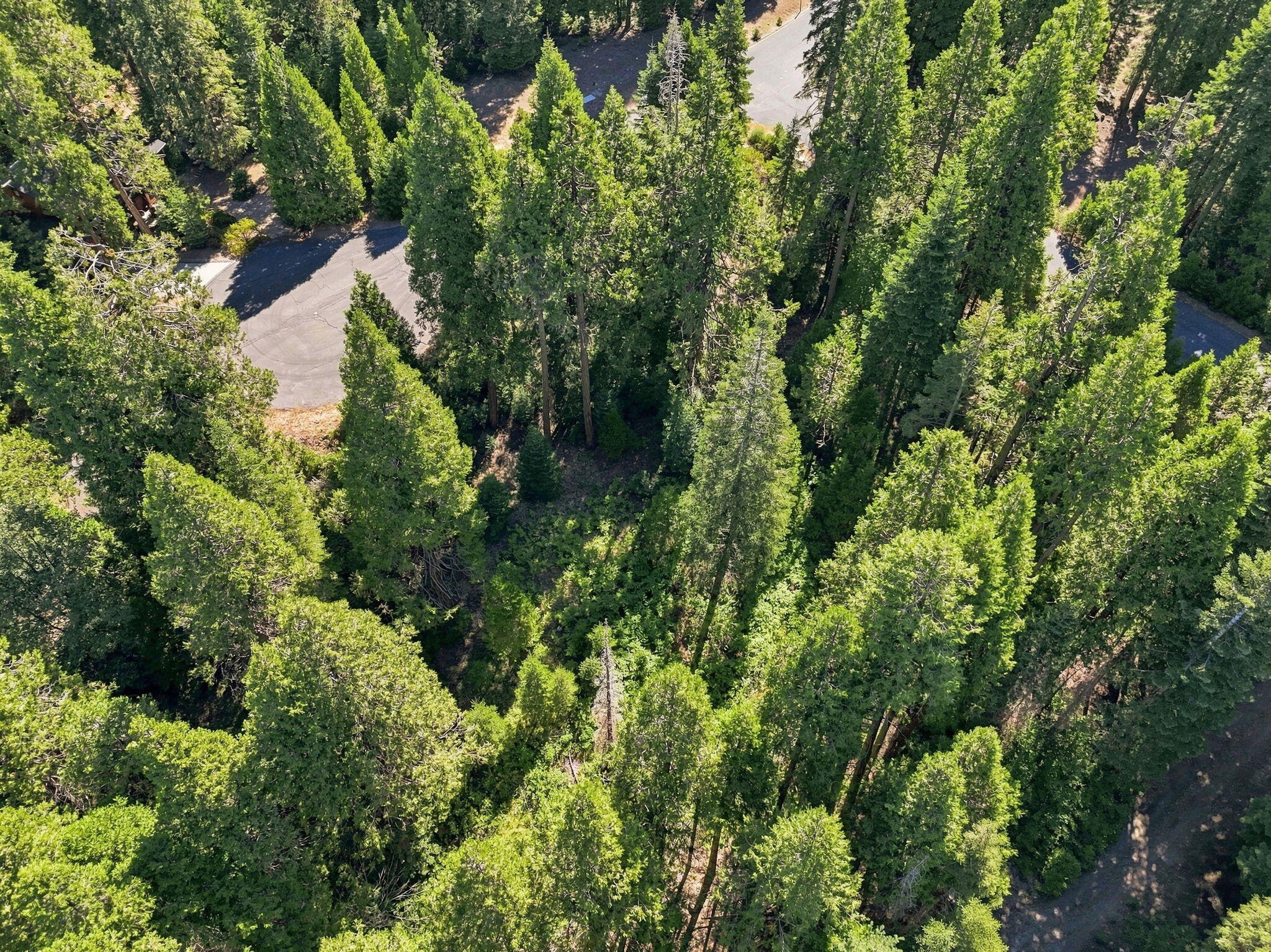 0 Foxglove Ln, Shaver Lake, CA 93664