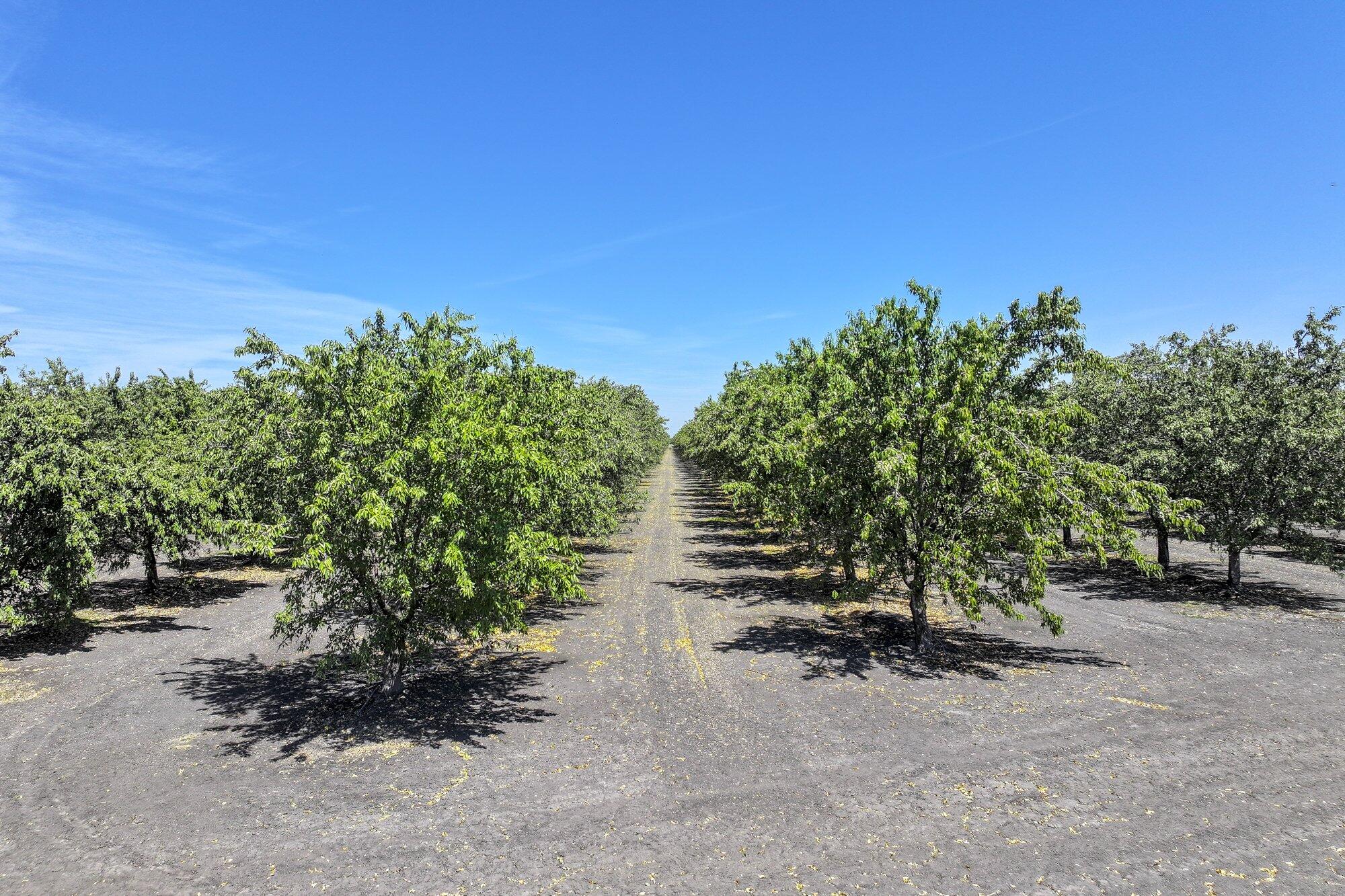 0 W Springfield Ave, San Joaquin, CA 93660