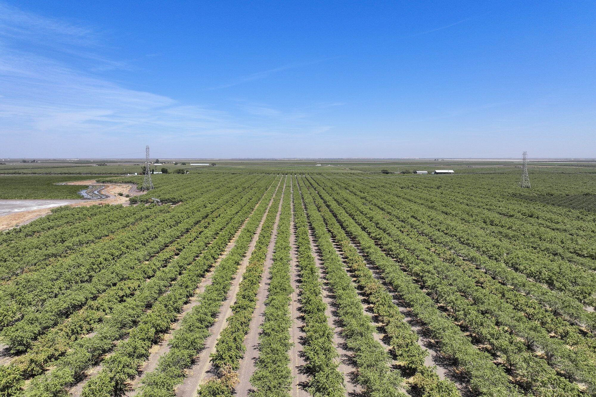 0 W Springfield Ave, San Joaquin, CA 93660