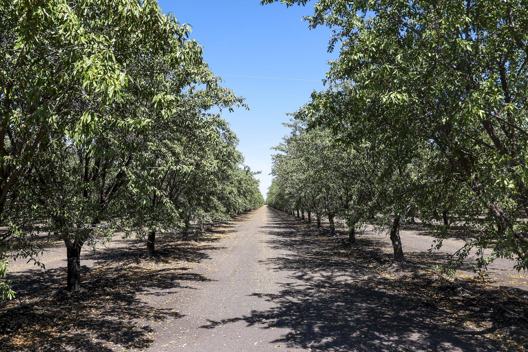 0 W Springfield Ave, San Joaquin, CA 93660