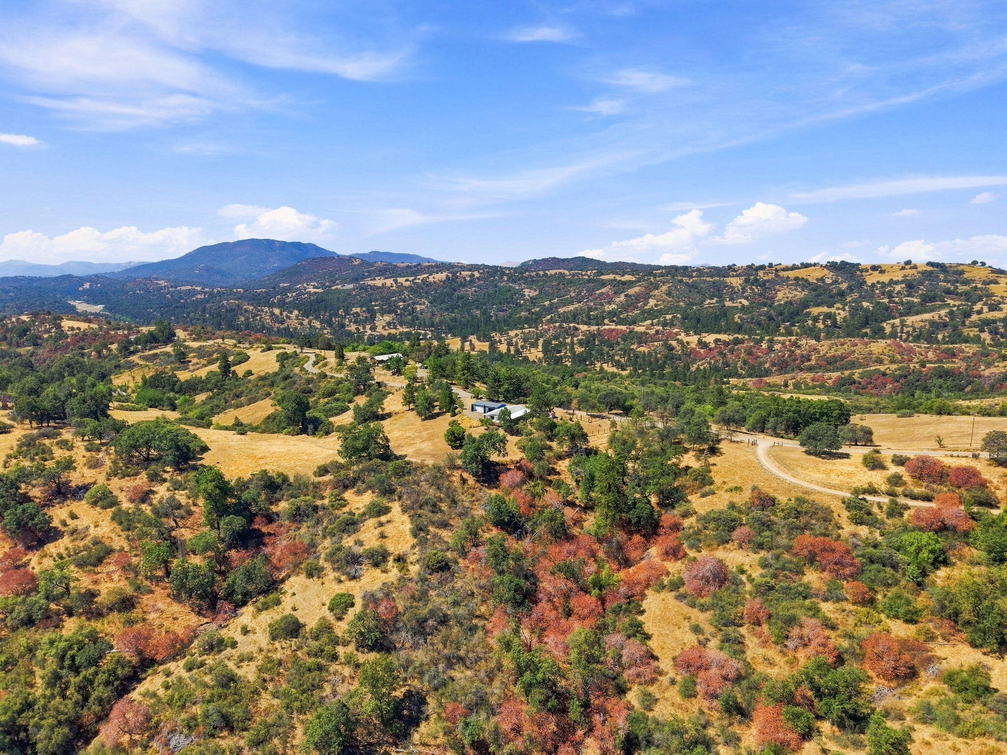 52575 Hogback Dr, Miramonte, CA 93641