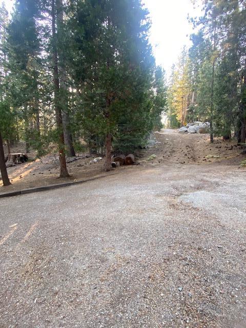 57501 Crest Dr, Springville, CA 93265
