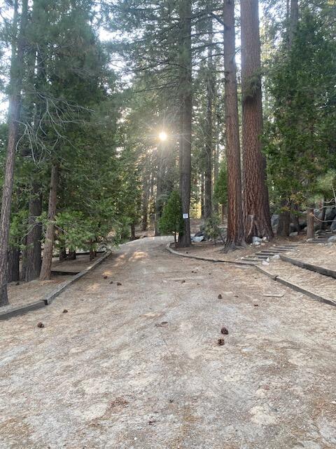 57501 Crest Dr, Springville, CA 93265