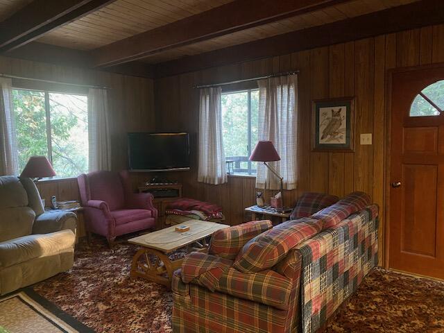 57501 Crest Dr, Springville, CA 93265