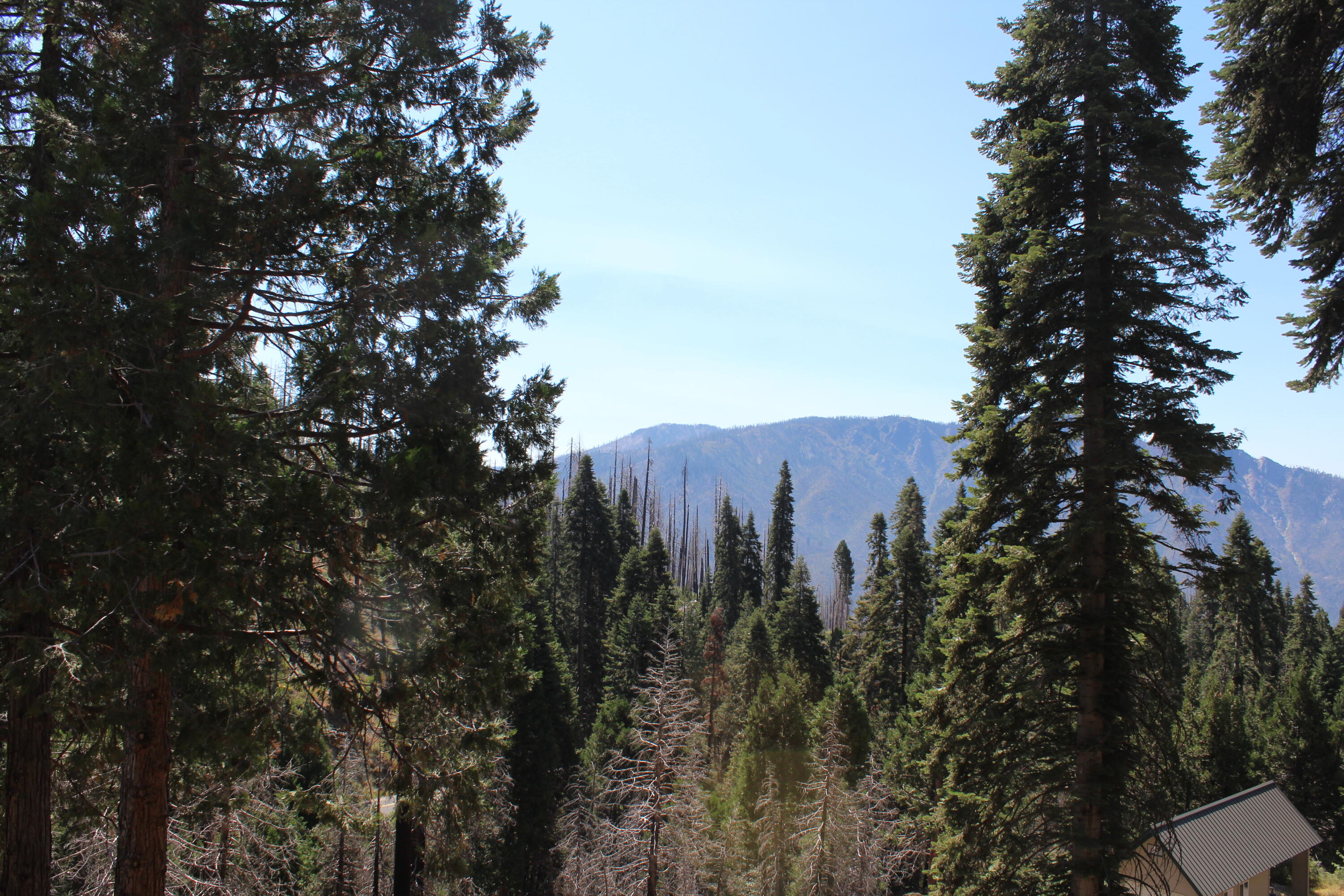 53434 Redwood Dr, Springville, CA 93265