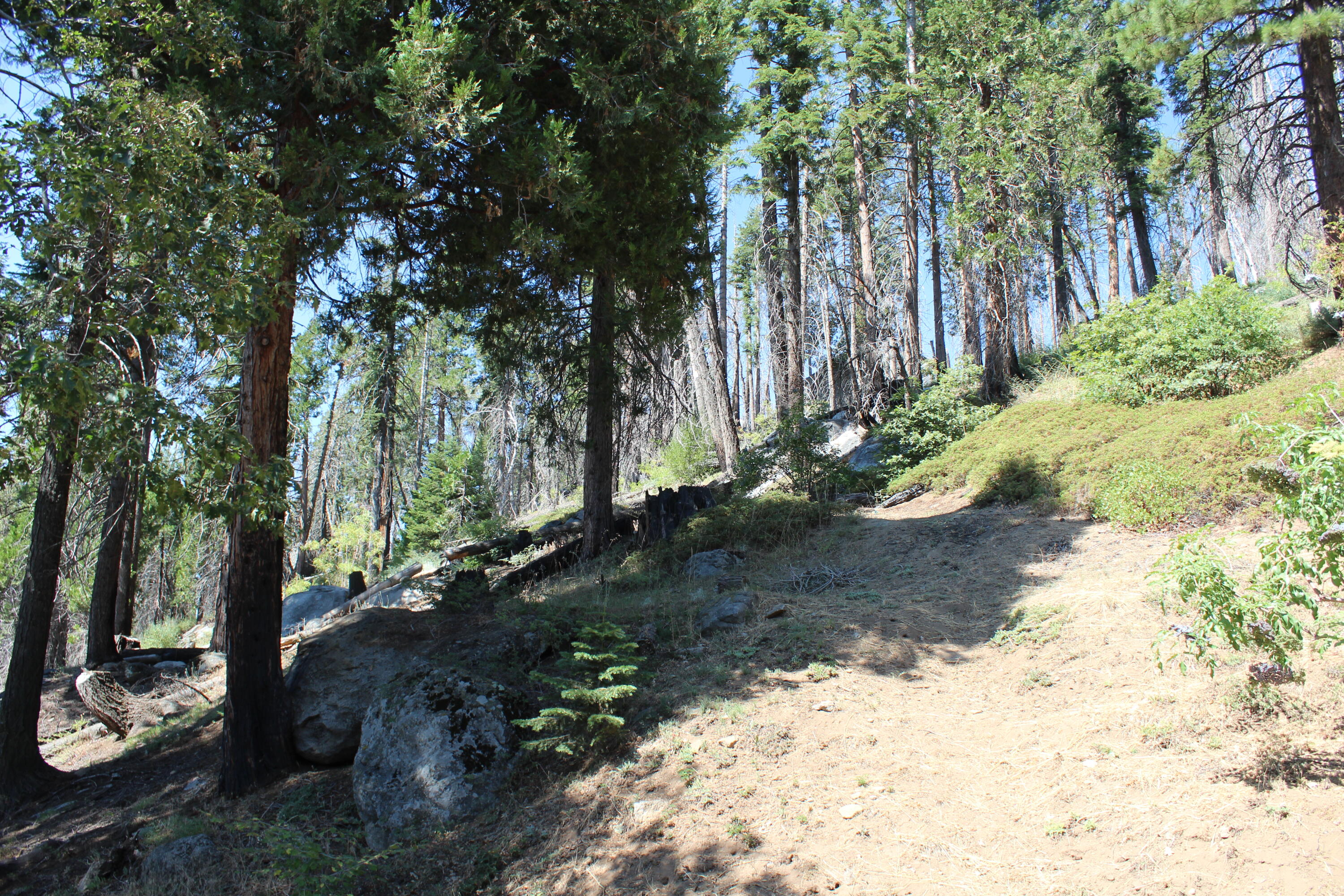 53434 Redwood Dr, Springville, CA 93265