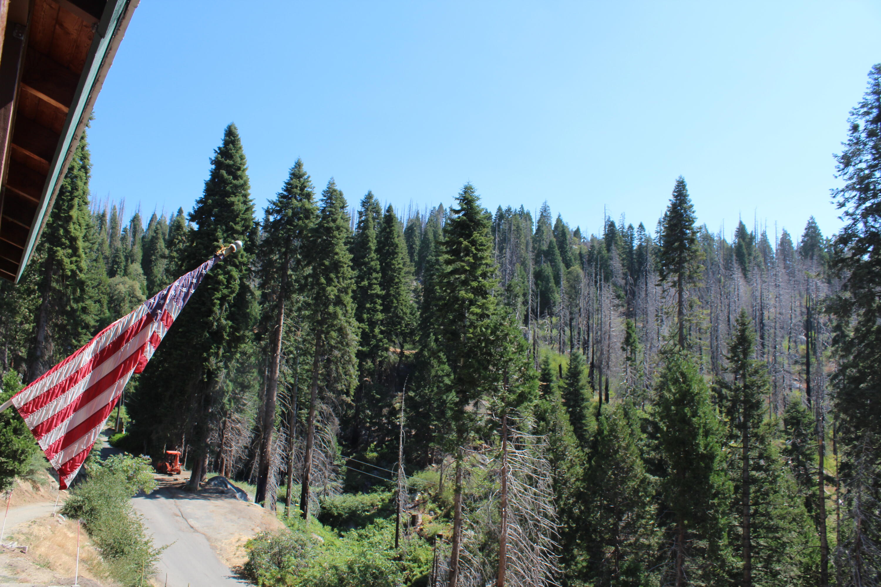 53434 Redwood Dr, Springville, CA 93265