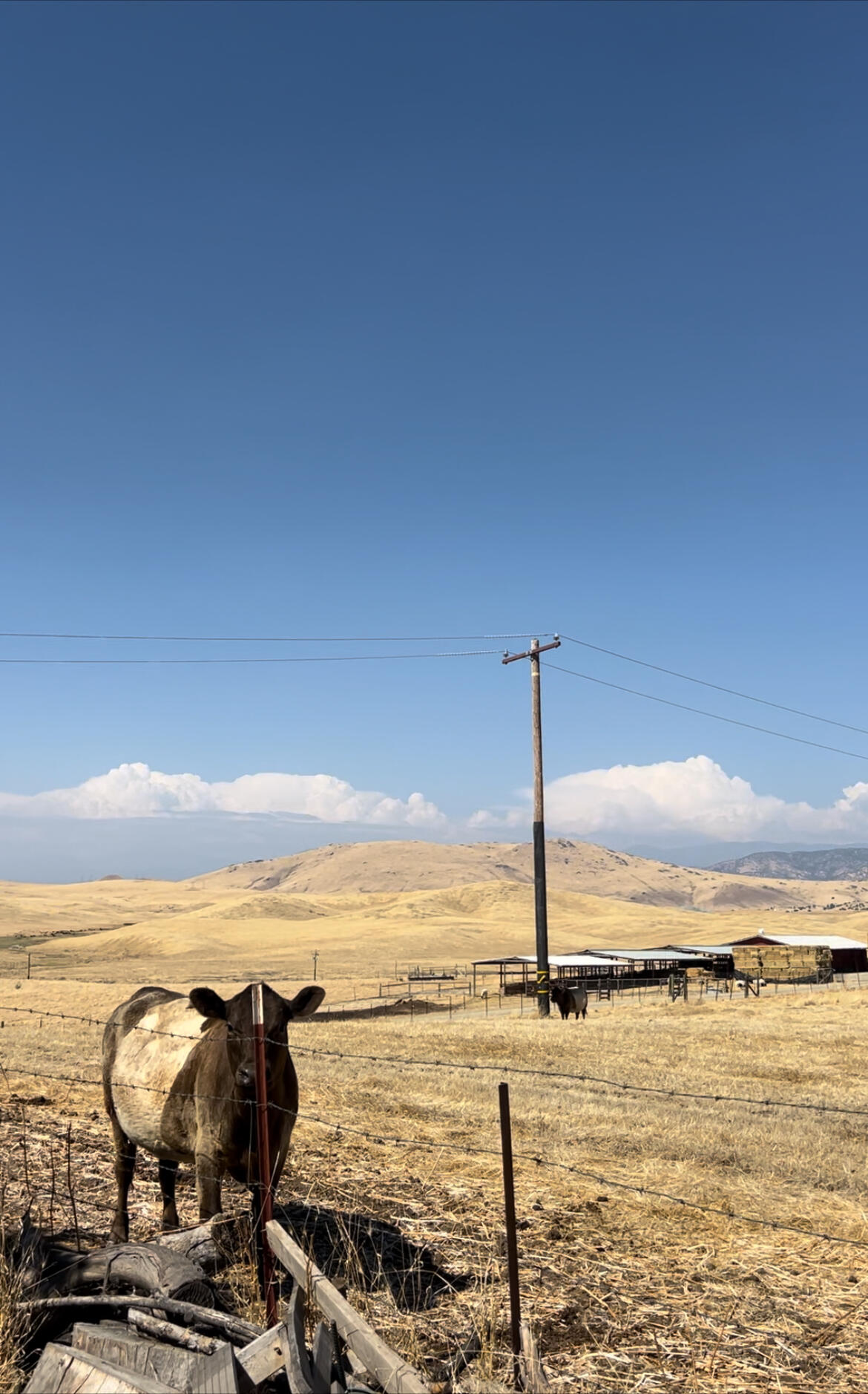 28002 Ave 56, Porterville, CA 93257