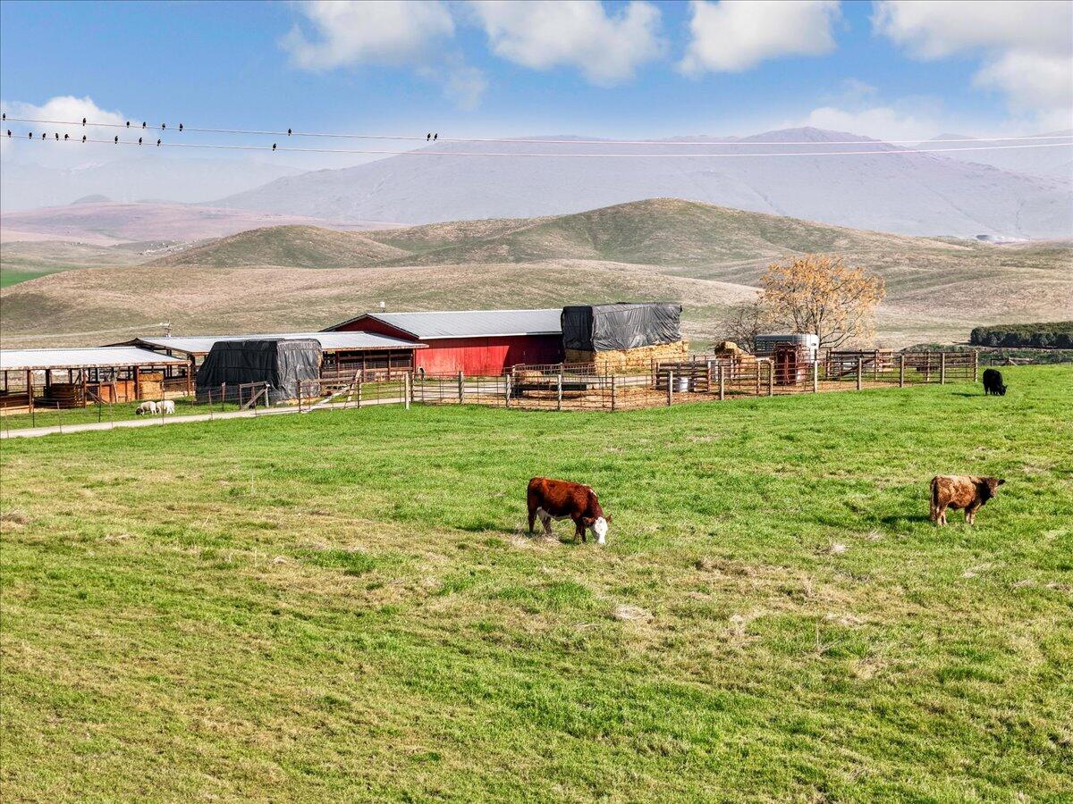 28002 Ave 56, Porterville, CA 93257