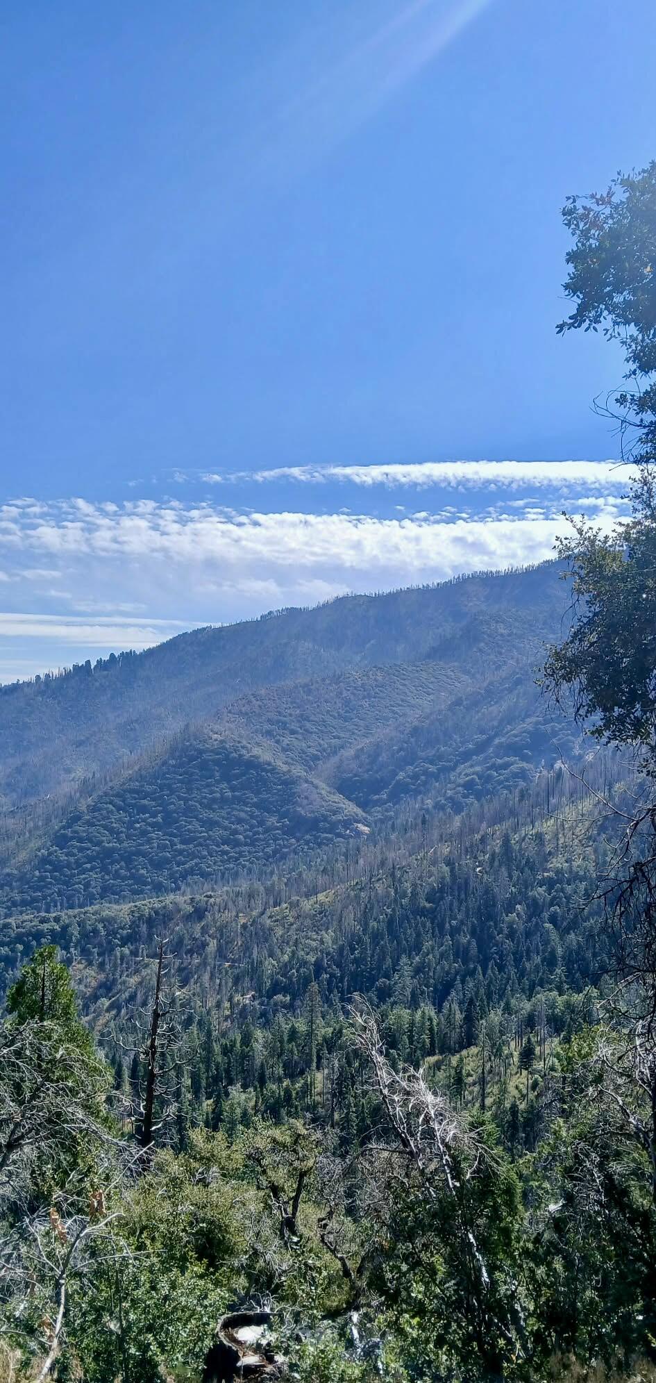 67 & 68 Mountain-aire, Springville, CA 93265