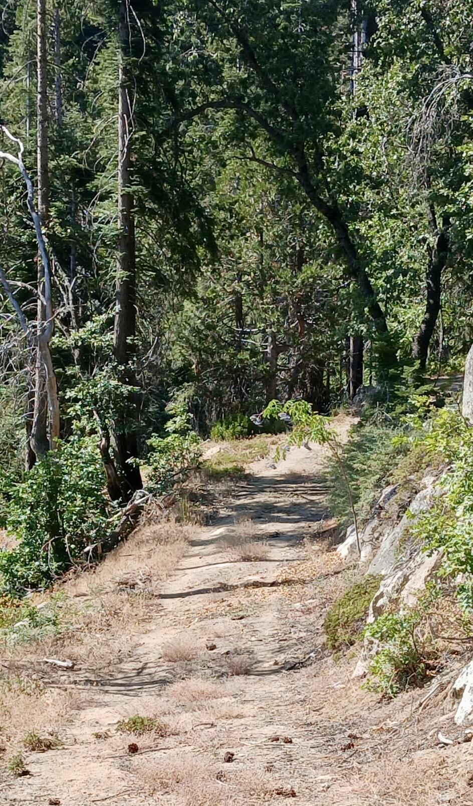 67 & 68 Mountain-aire, Springville, CA 93265