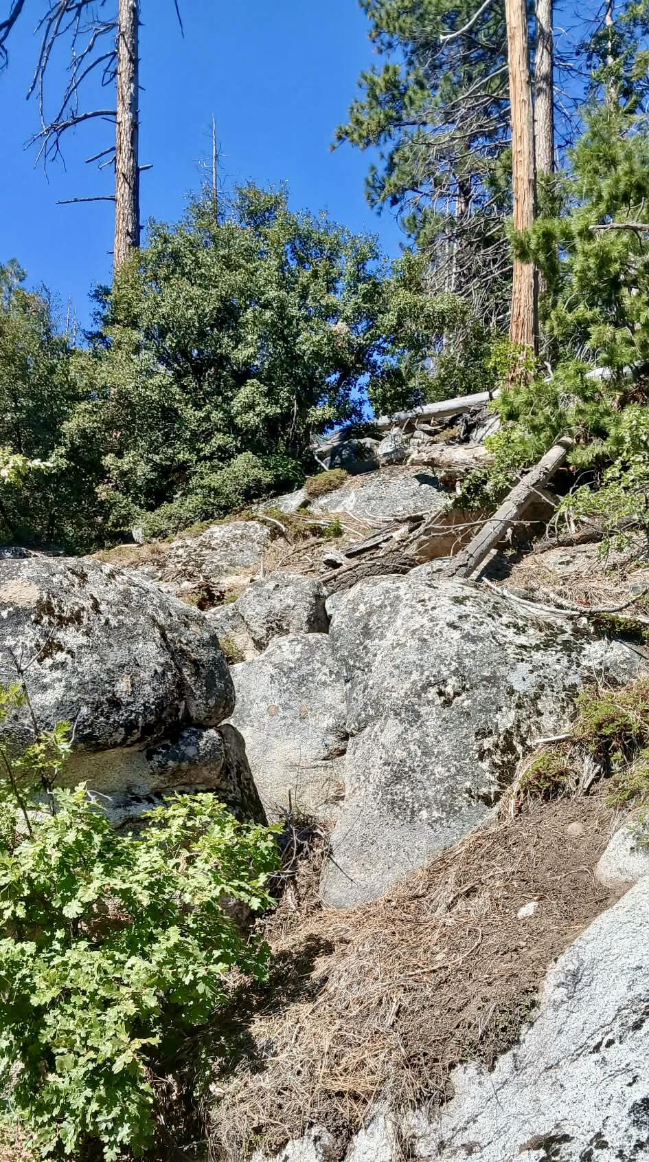 67 & 68 Mountain-aire, Springville, CA 93265
