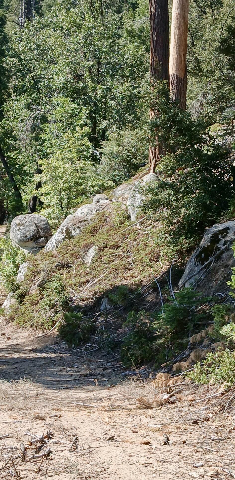 67 & 68 Mountain-aire, Springville, CA 93265