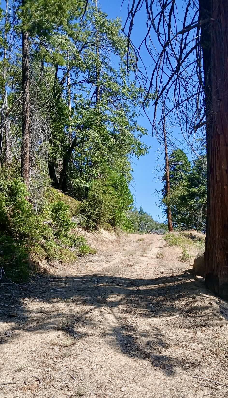67 & 68 Mountain-aire, Springville, CA 93265
