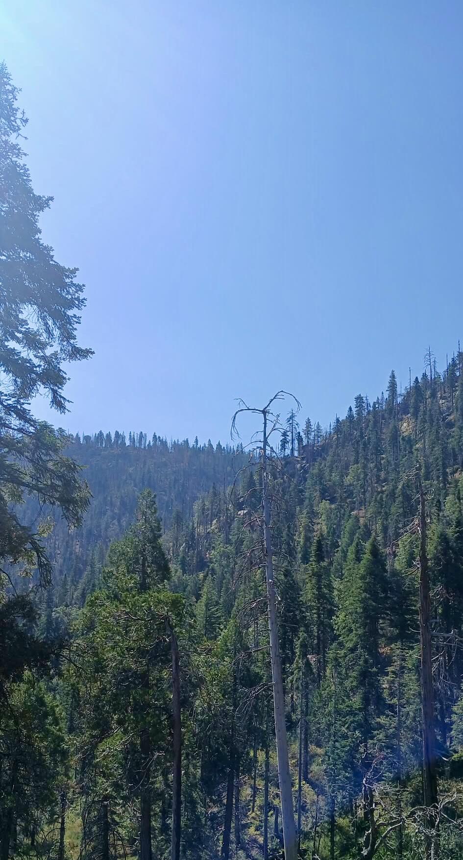 67 & 68 Mountain-aire, Springville, CA 93265