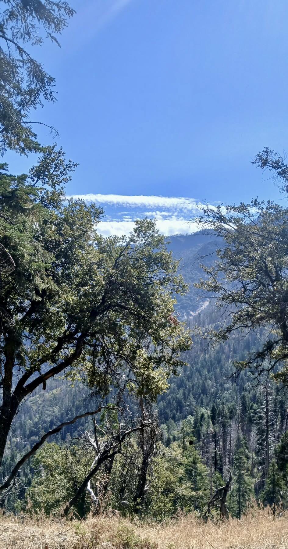 67 & 68 Mountain-aire, Springville, CA 93265
