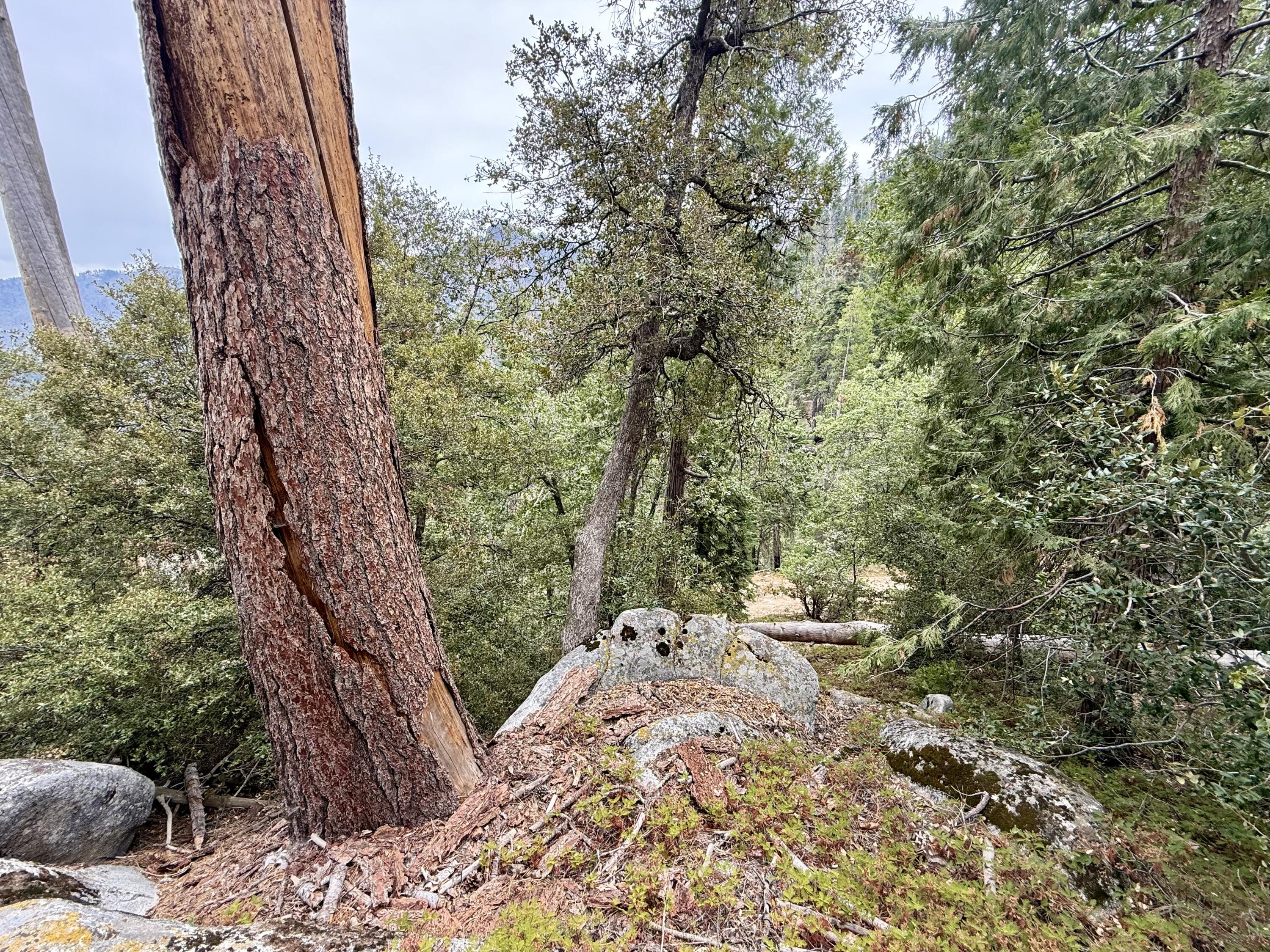 67 & 68 Mountain-aire, Springville, CA 93265