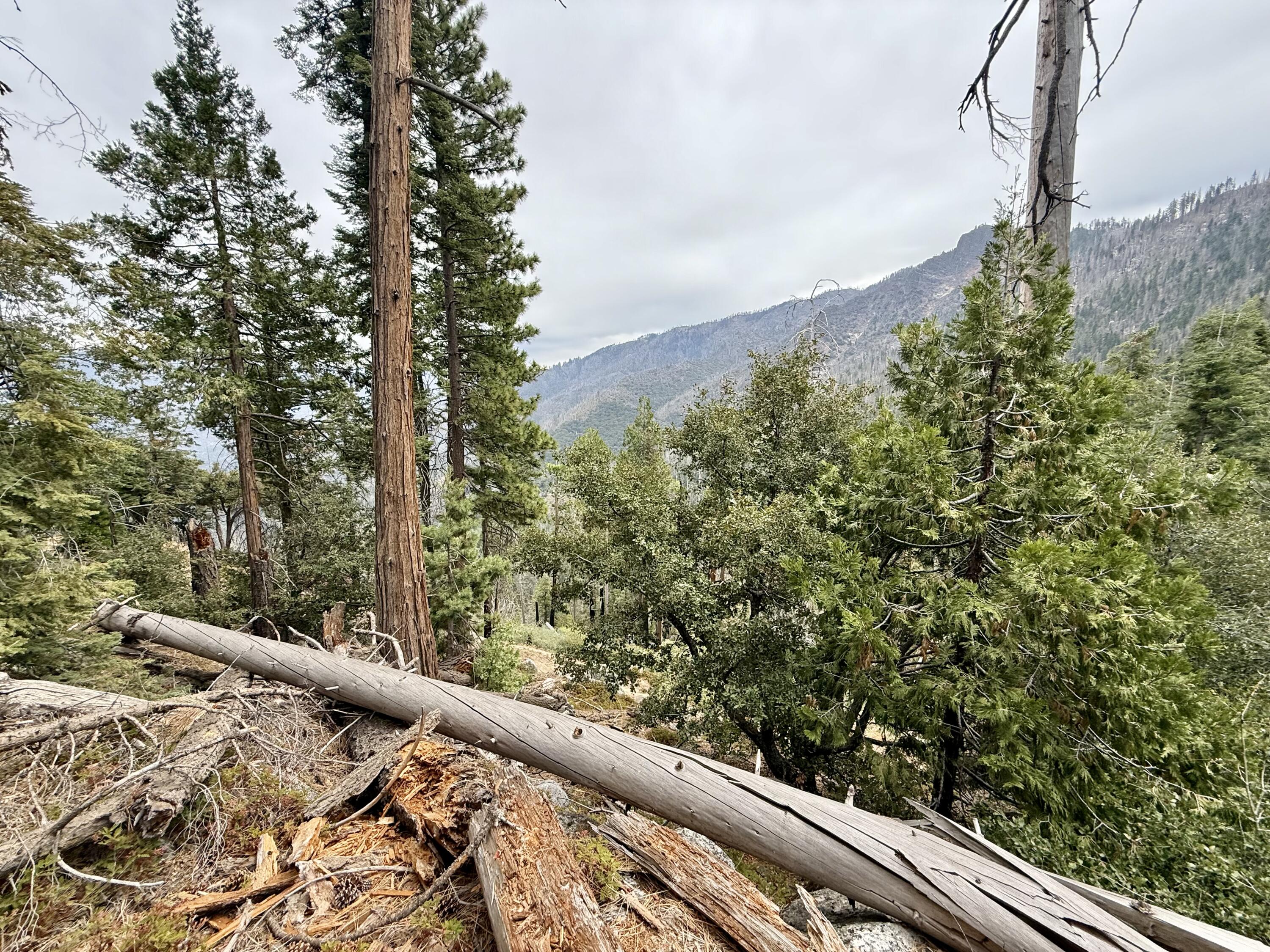 67 & 68 Mountain-aire, Springville, CA 93265