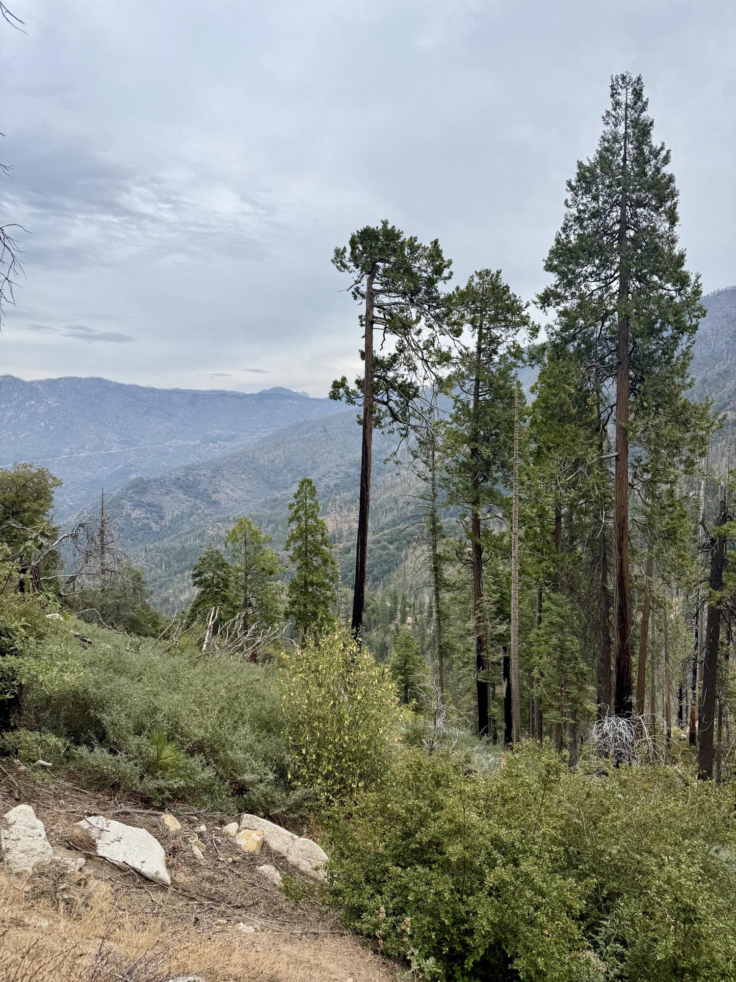 67 & 68 Mountain-aire, Springville, CA 93265