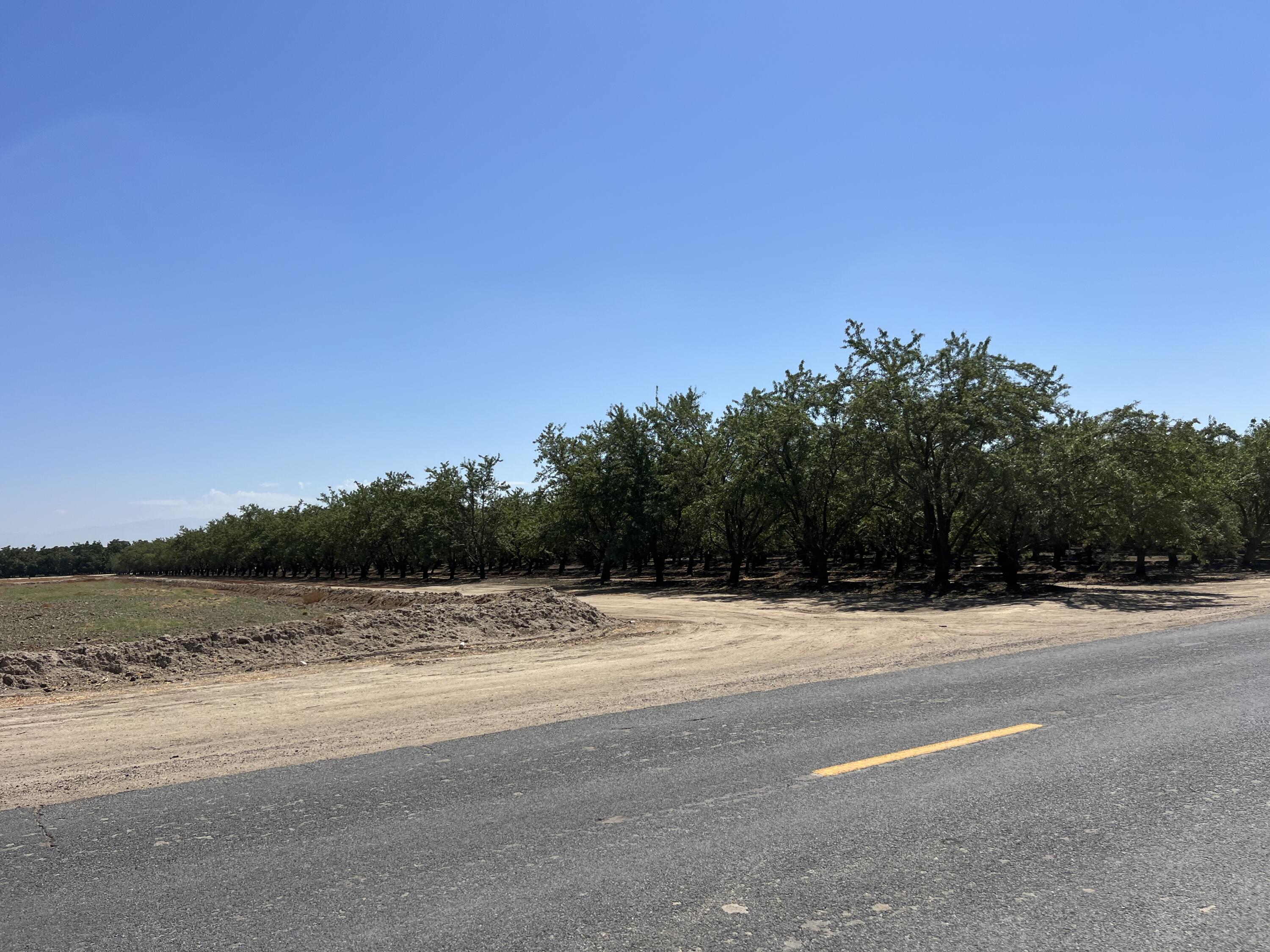 0, Strathmore, CA 93267