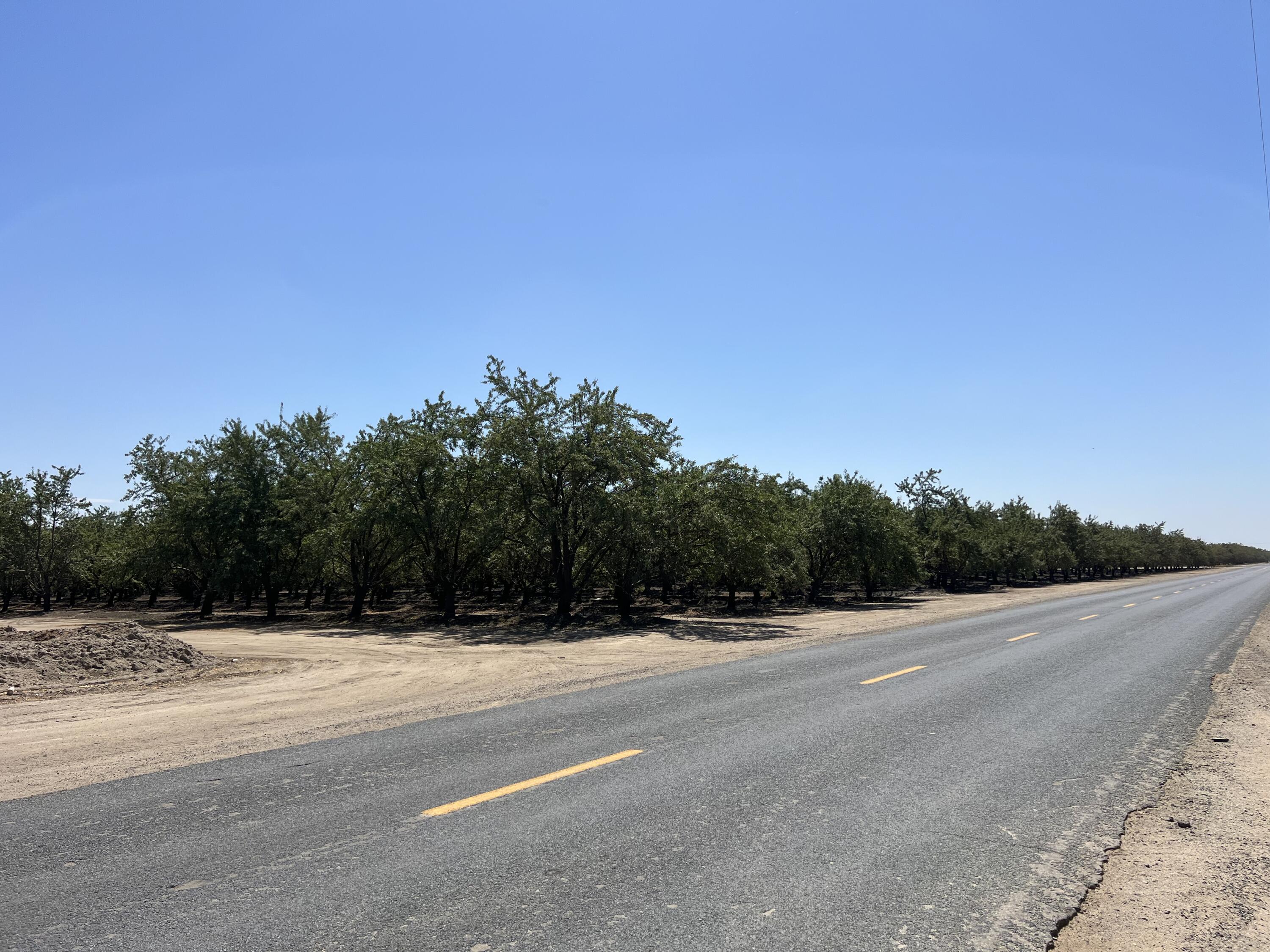 0, Strathmore, CA 93267