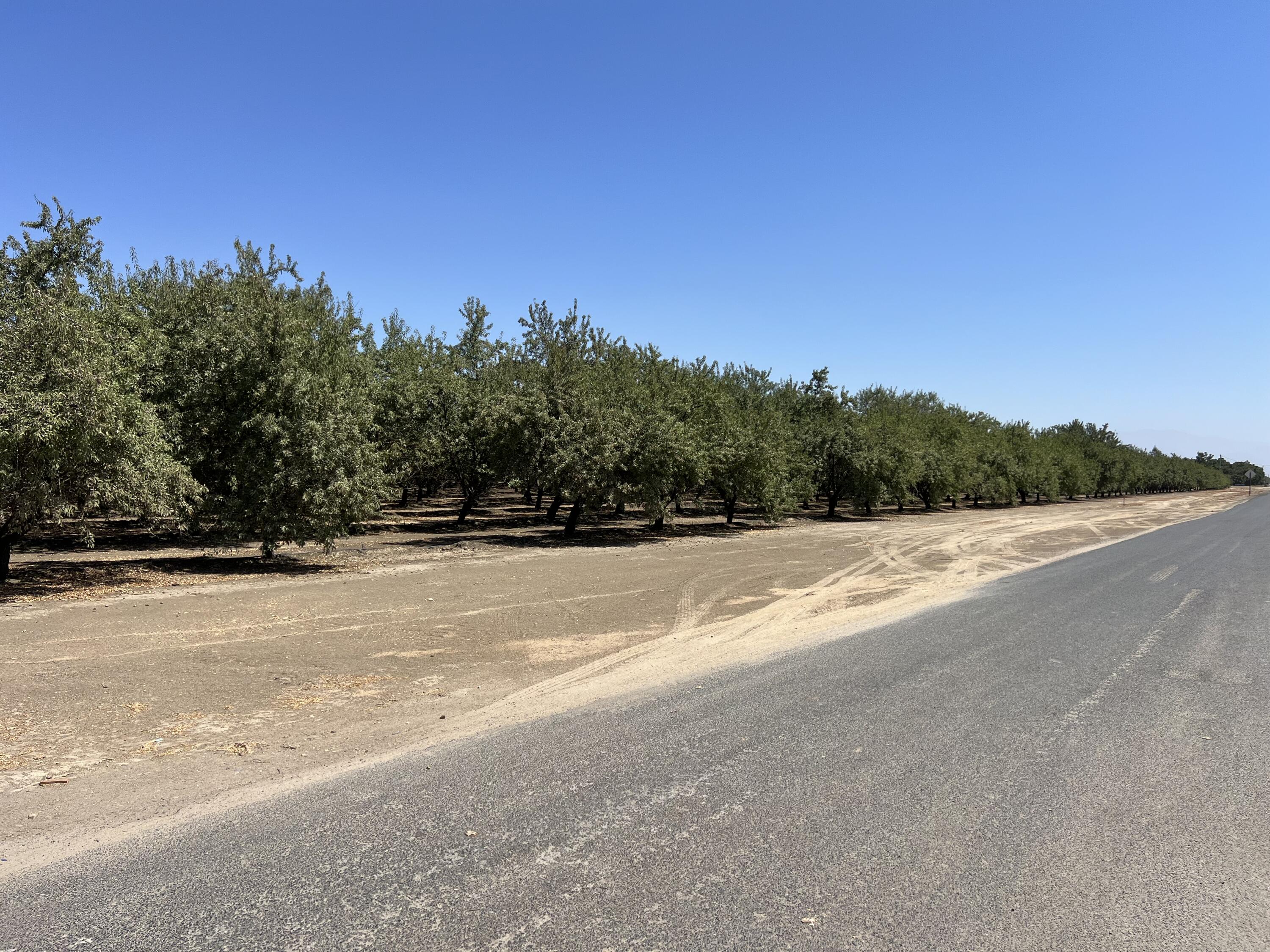 0, Strathmore, CA 93267