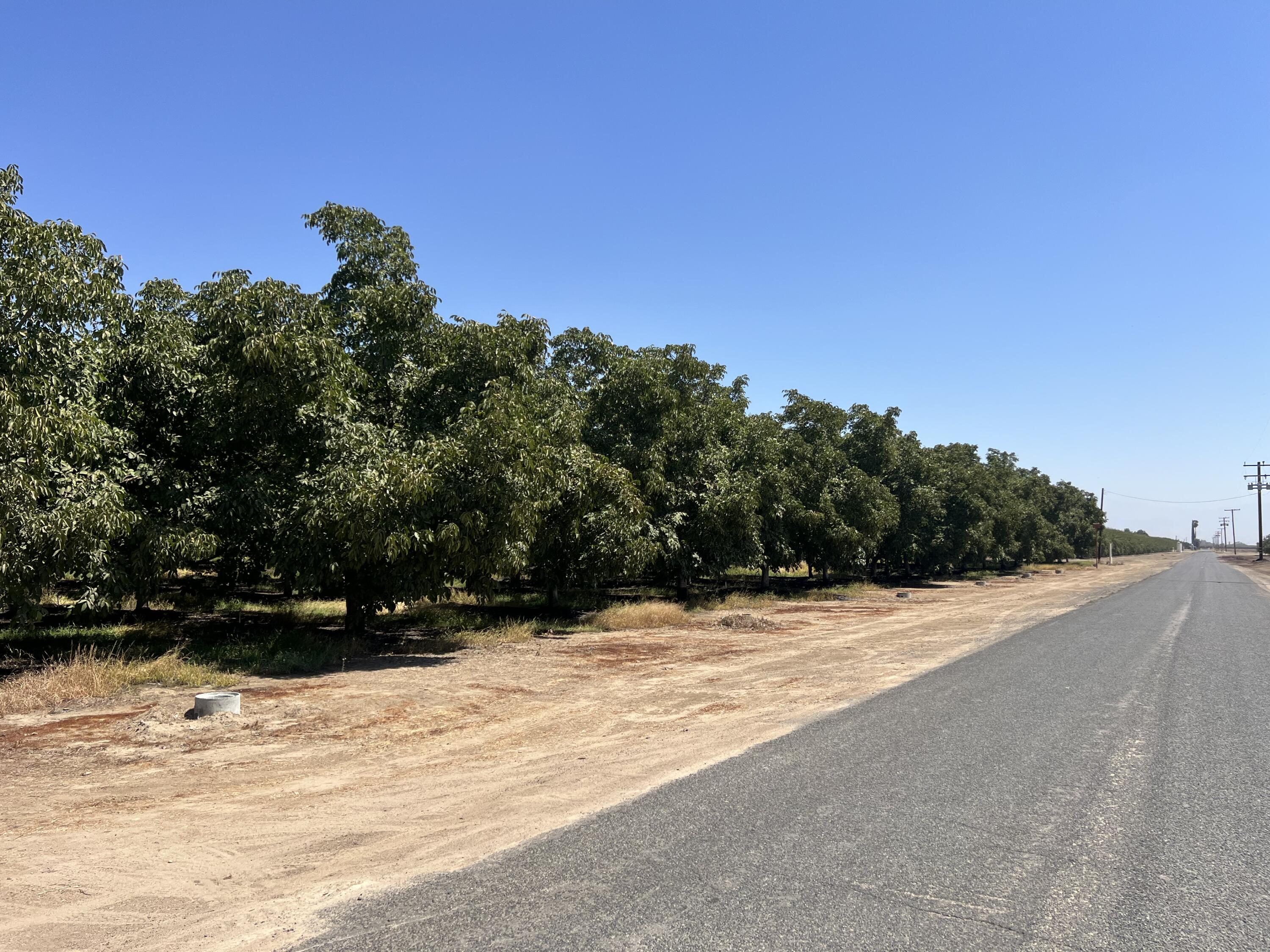 0, Strathmore, CA 93267