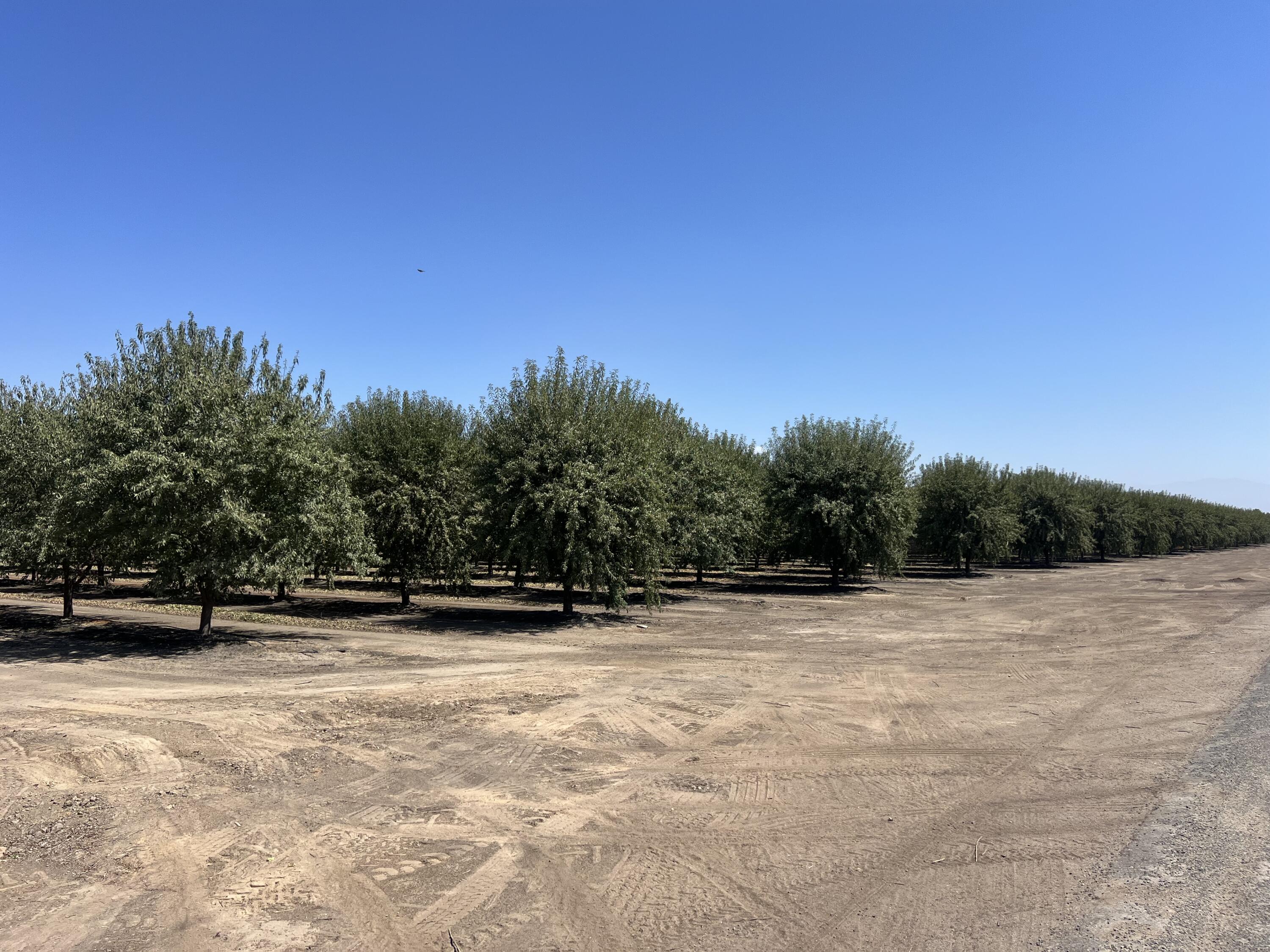 0, Strathmore, CA 93267